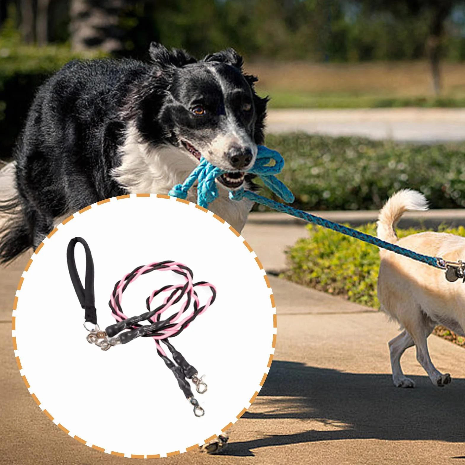 Corde per Cani - Guinzaglio Doppio per Passeggiate con Animali Domestici | Accessori per Animali Domestici Resistente Durevole Comodo per Spiaggia Addestramento Sicurezza Migliorata