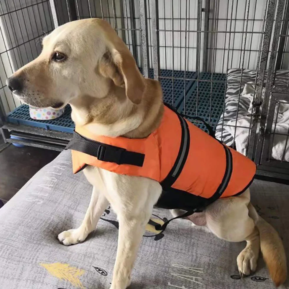 Giubbotto Salvagente per Cani Salvavita con Manico per Cane Piccolo e Grande (Osso Rosso, XS)
