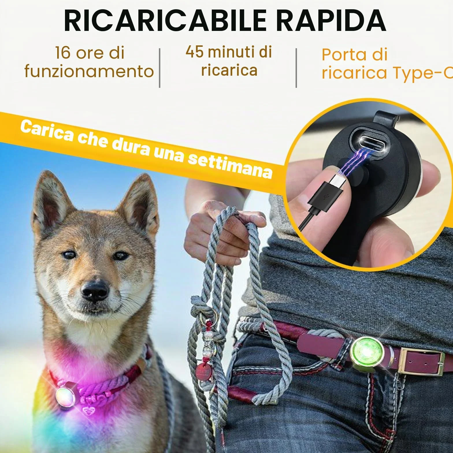 Tubasion Confezione da 2 luci per cani ricaricabili IPX6 impermeabile 8 modalità notturne