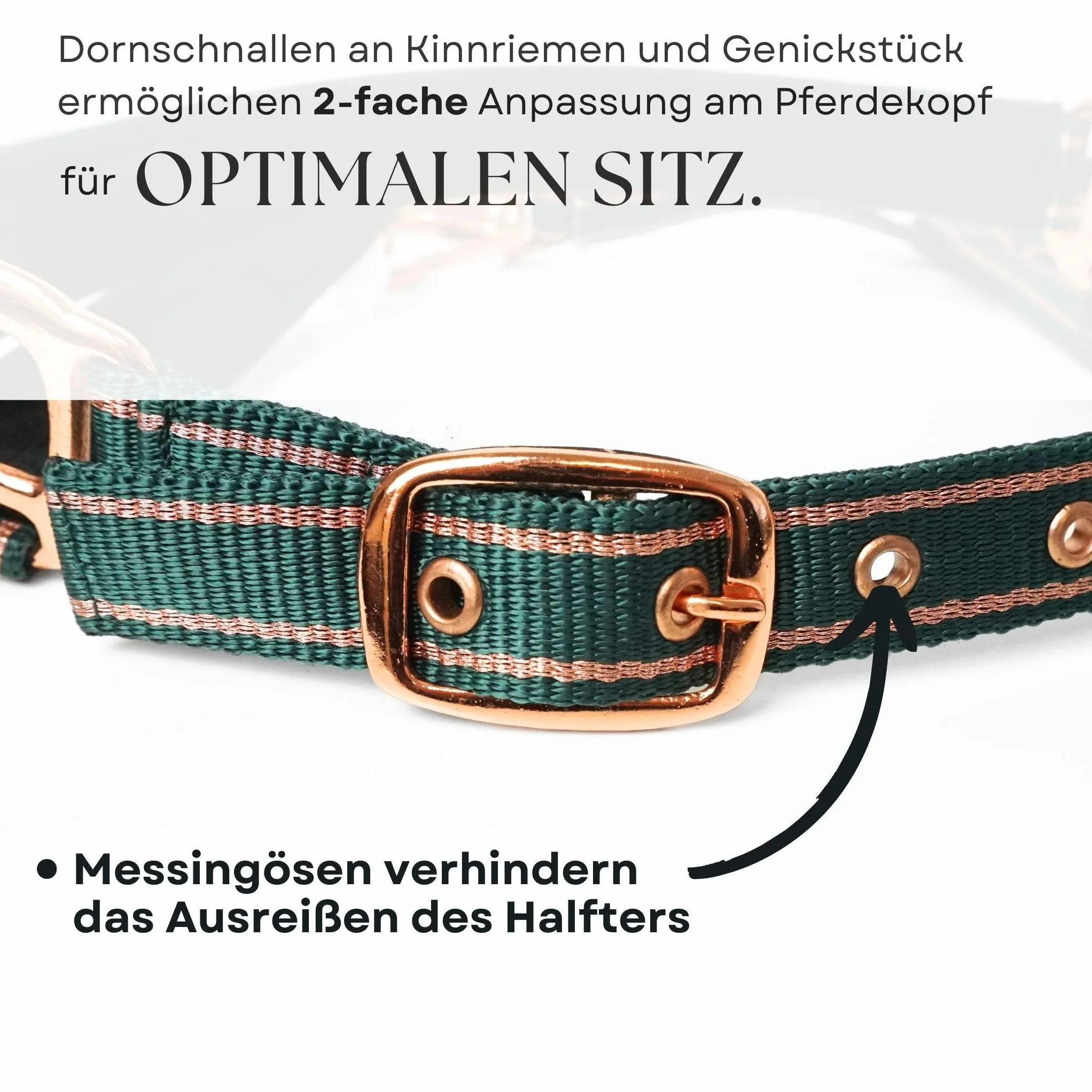 Cavezza per cavalli con glitter in oro rosa, cavezza cavallo in nero e rosa, regolabile in 2 posizioni (verde oro rosa, purosangue)