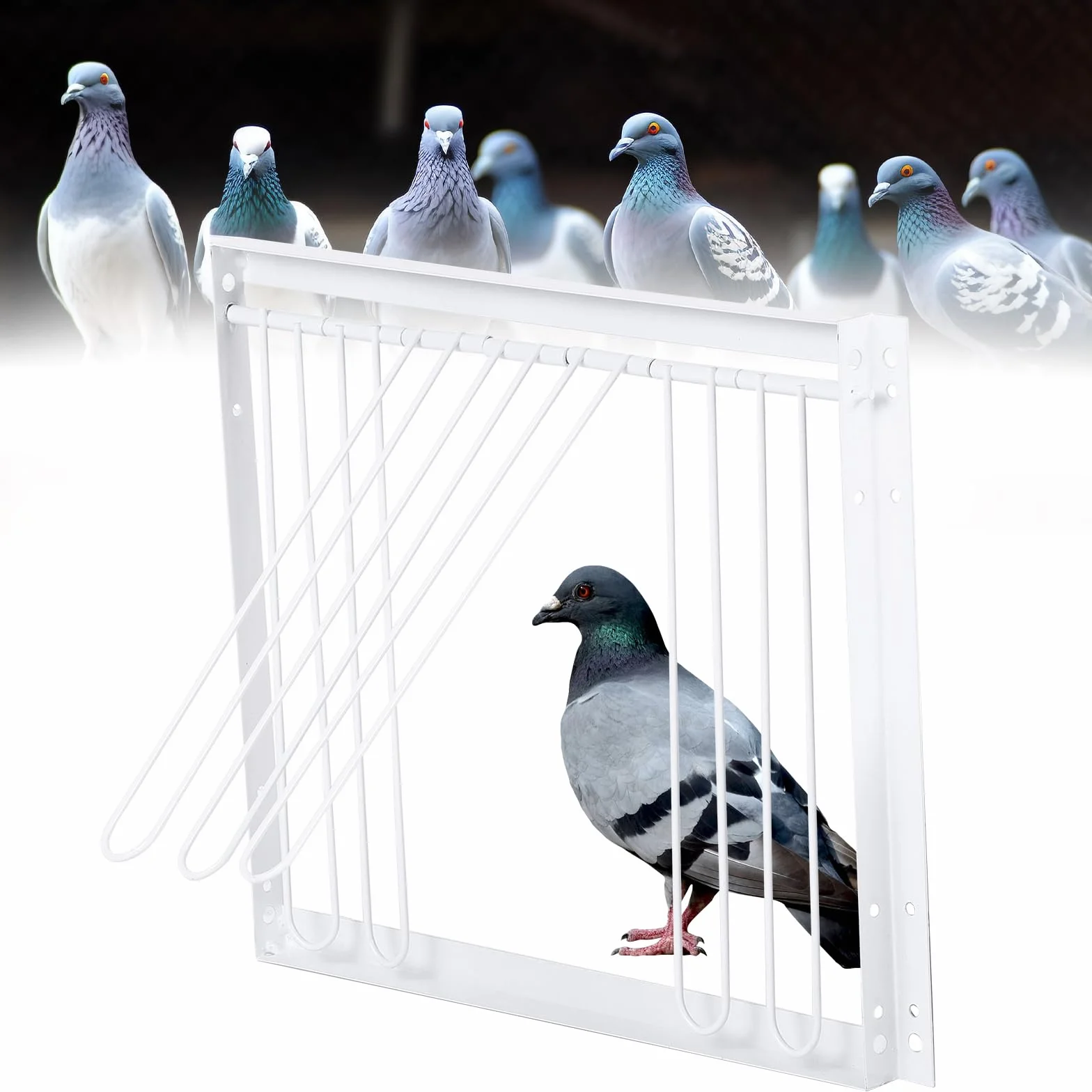 T-Trap - Porta d'ingresso per animali domestici, usa e getta, per piccione da corsa, piccione, porta d'ingresso in ferro, pappagallo, accessorio per l'allevamento di uccelli, 33 x 26 cm