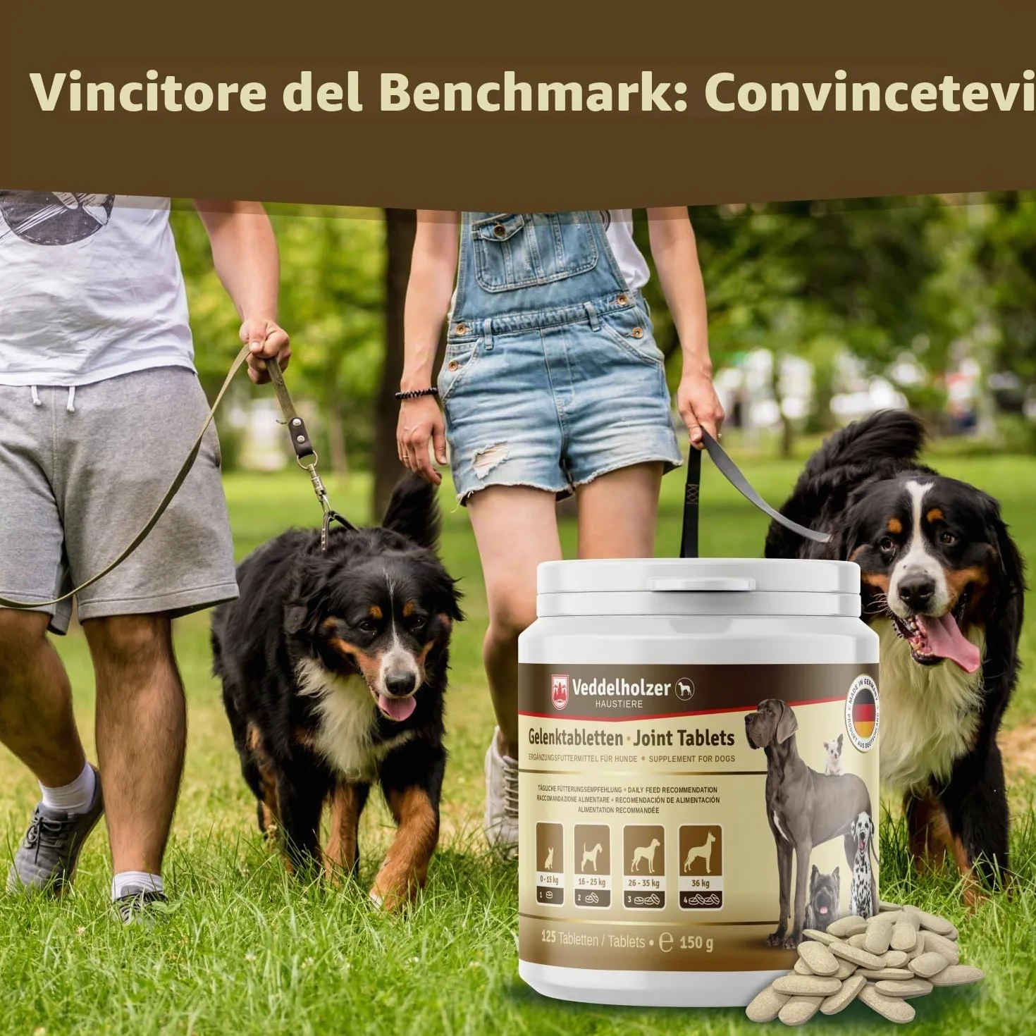 Veddelholzer VINCITORE CERTIFICATO 2024 Compresse per articolazioni cani con cozza dalle labbra verdi MSM artiglio del diavolo Glucosamina collagene