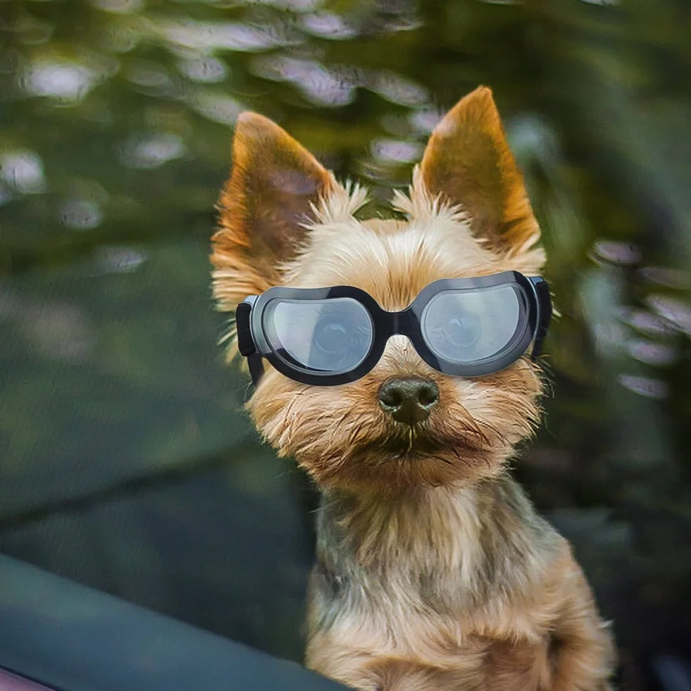 Enjoying Occhiali da Sole per Cani Piccola, Occhiali per Cucciolo Moto, Gatti Adulti Occhiali Cane, Protezione UV, Regolabile, Luminoso Nero