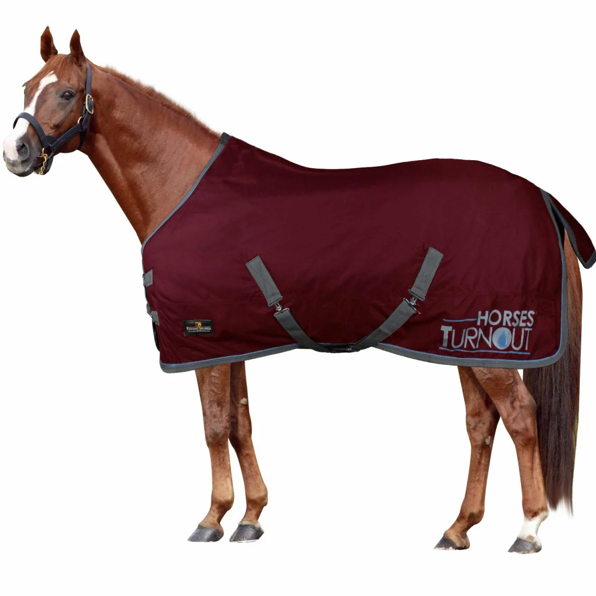 Horses, Coperta da Paddock per Cavallo Turnout 200 gr, Impermeabile, Imbottita, Resistente, con Cinghie ad Incrocio, Bordeaux 145 cm