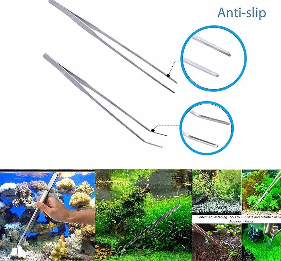 Signstek 5 in 1 Acciaio Inox Pinzette Forbici Spatola Attrezzo Acquario Starter Kit