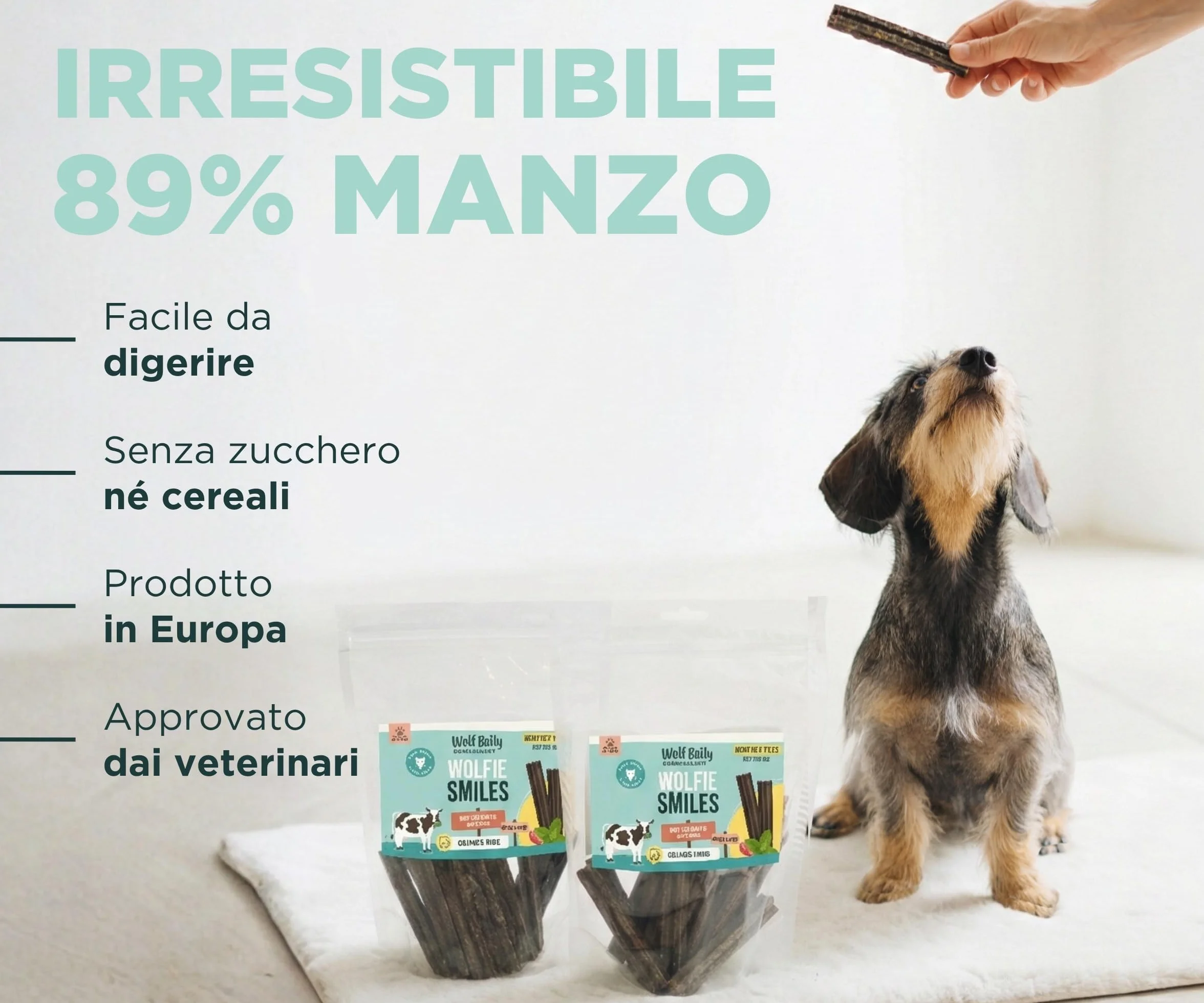 Wolf Belly - Dental Stick per Cani Naturali (28 pz) 89% Manzo Senza Cereali | Igiene Dentale & Alito Fresco | Ascophyllum Nodosum | Delizioso Sapore di Carne | Ricco di Proteine - Prodotto in Europa