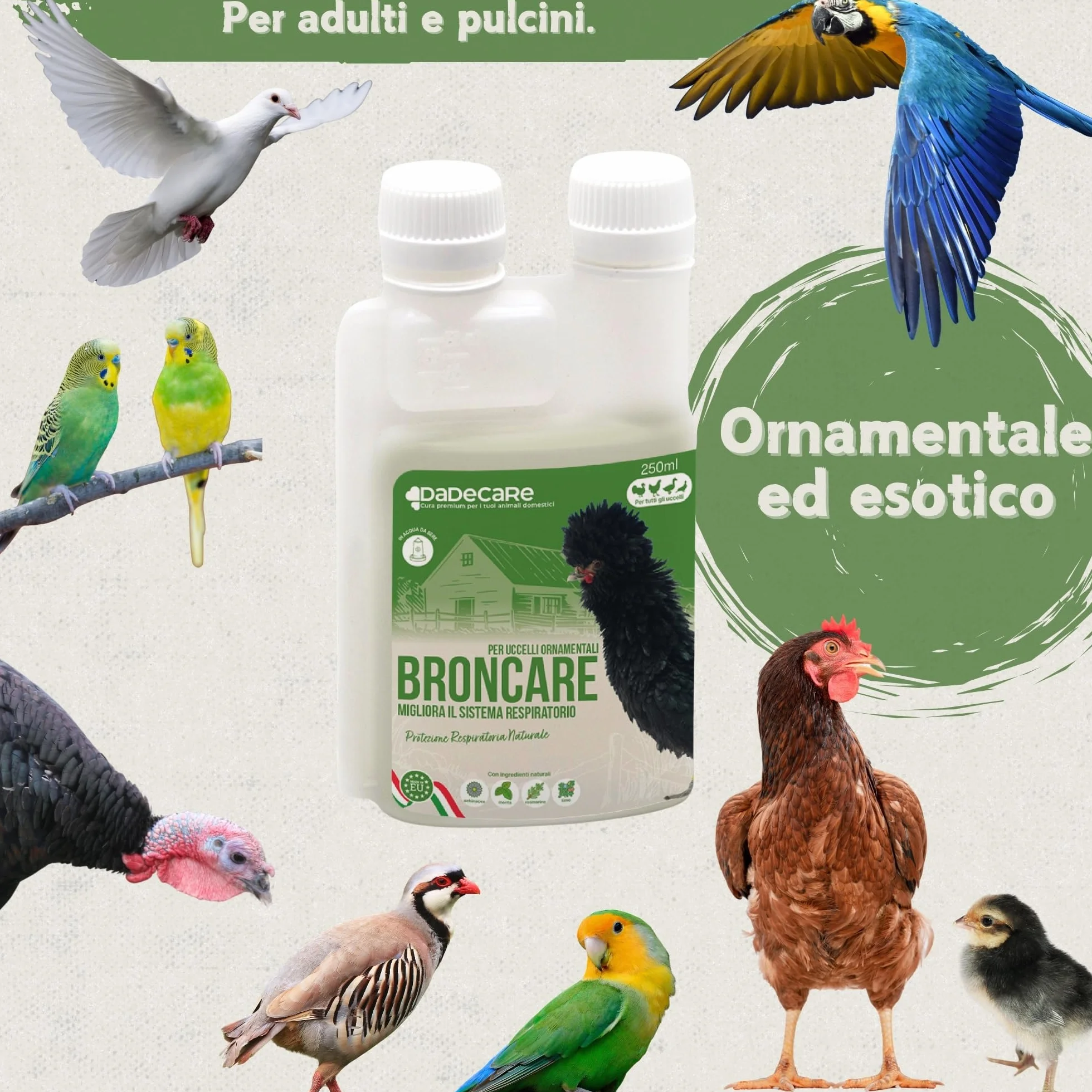 Broncare Respiratorio 250 ml con ADEC - Polli, Uccelli da Cortile ed Esotici - Oli Essenziali, Supporto Immunitario e Respiratorio - Equiseto, Menta, Timo e Rosmarino