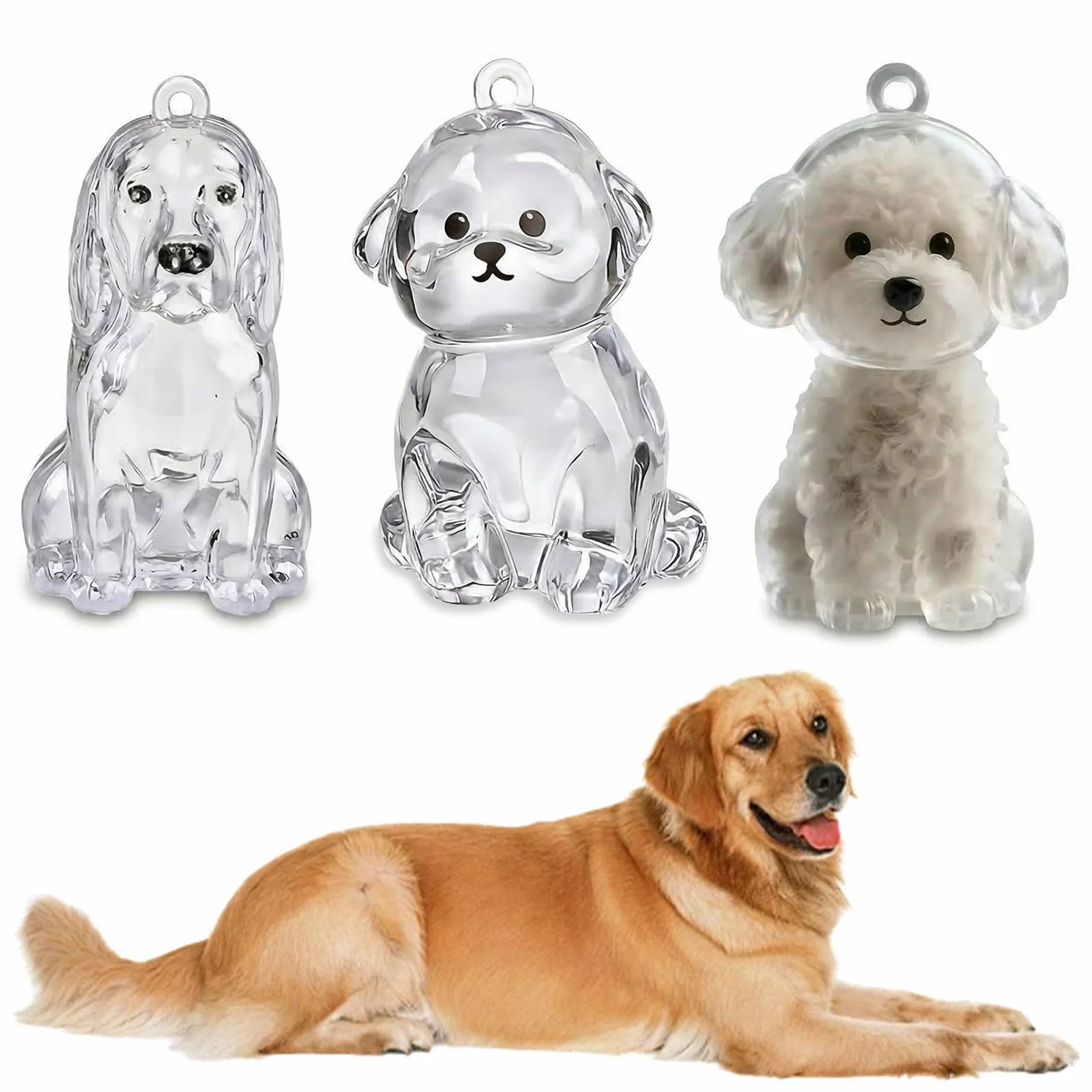 Set di 3 Ciondoli Porta Pelo Cane Ricordo, Mini Contenitore Commemorativo per Peli Animali (Teddy, Bichon e Golden Retriever), Souvenir Portatile in Plastica per Amanti dei Cani