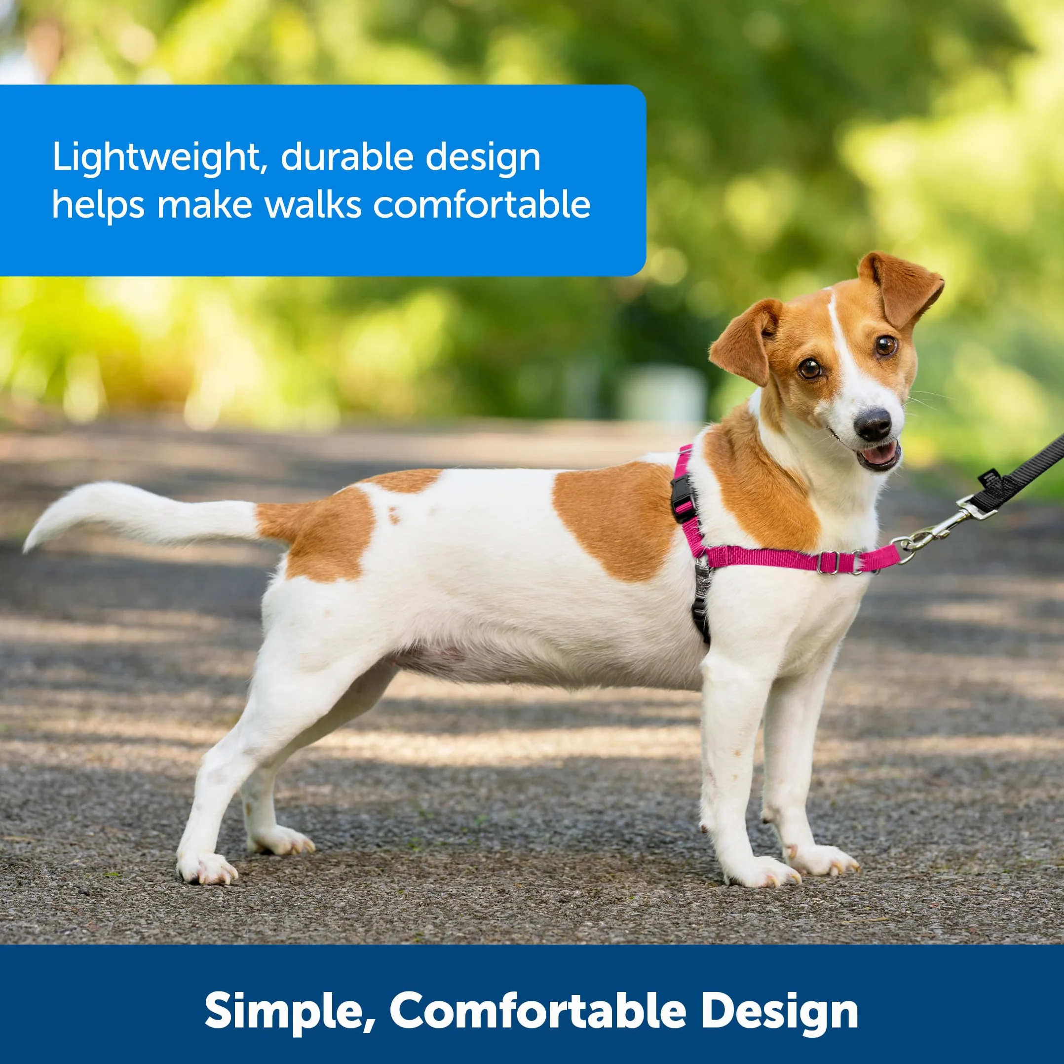 PetSafe Easy Walk - Pettorina per Cani Anti-Tiro, Nero, XL