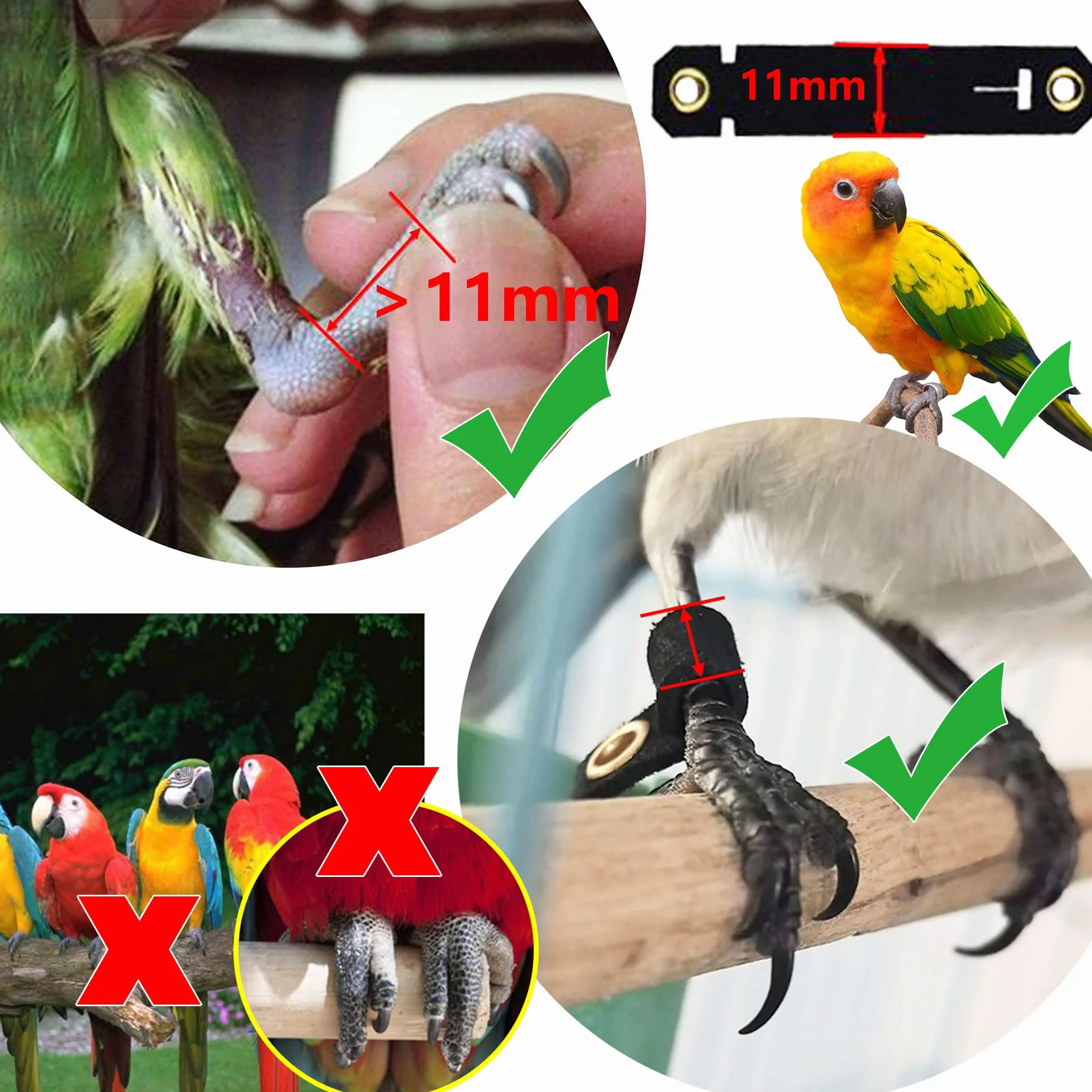3m Guinzaglio per uccelli Imbracatura per Pappagallo Imbracatura per pappagallo per animali domestici e uccelli guinzaglio per attività Corda regolabile per addestramento al volo (A)