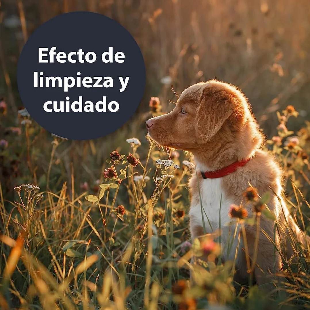 Aludermin Spray per ferite nei cani 270 ml | Disinfettante cani - Per la pulizia e la cura delle zone ferite - Cura ottimale delle ferite - Ferite del cane - Cicatrizzante cani spray