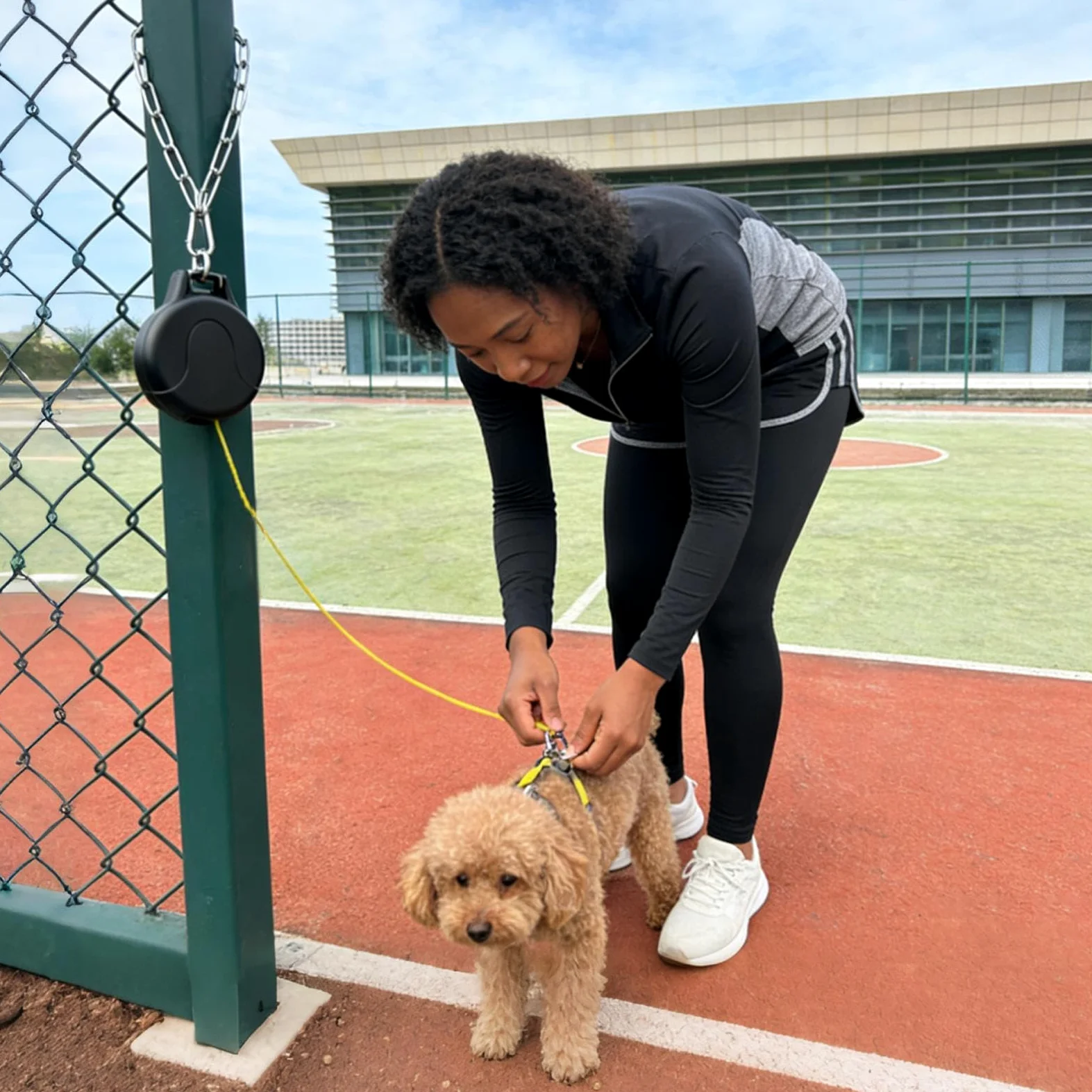 Guinzaglio Retrattile Per Cani Robusto e a Lunga Durata | Retrattile Per Cani Da Parete Per Passeggiate Corsa Escursioni Spiaggia Cortile Giardino Attività All'Aperto