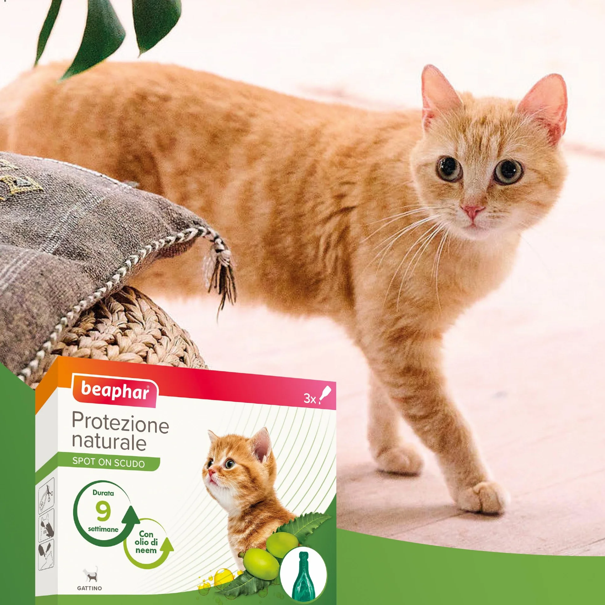 Beaphar Protezione Naturale Spot-On Scudo per Gattino, Olio di Neem e Piretro Vegetale, 3 Pipette 2 ml