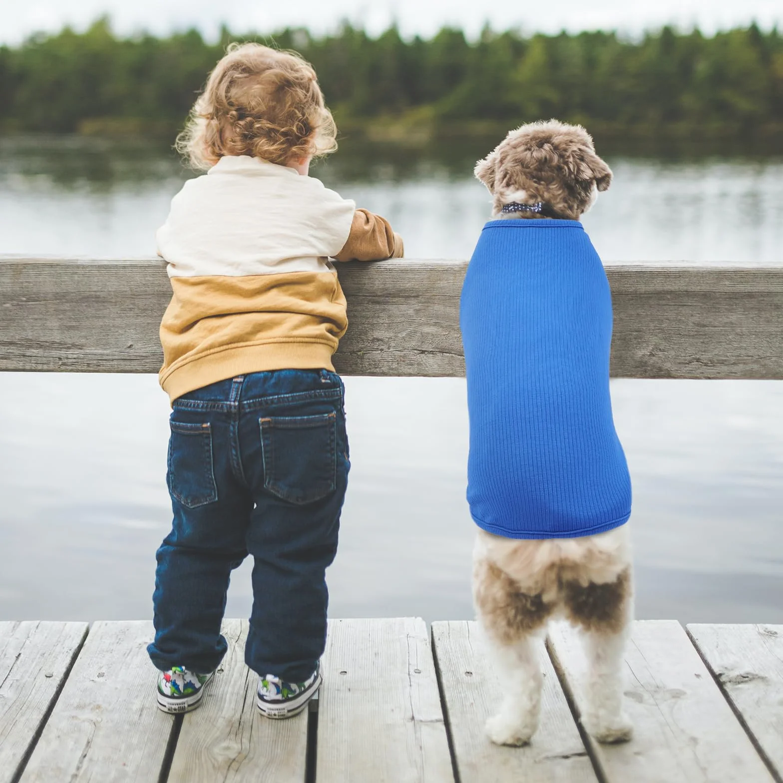 Blu zaffiro XXS Maglietta Cane Sottile Maglione Estiva Taglia Piccola Maglia Elastico a Righe