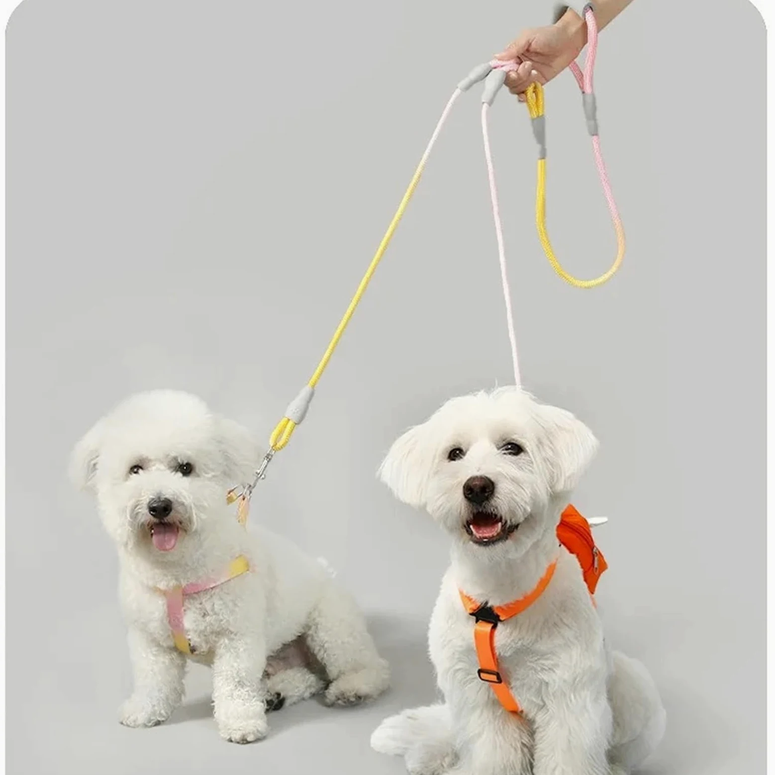Guinzaglio per cani a doppia testa anti-impigliamento con due guinzagli per animali domestici di colore sfumato (giallo, 1,2 cm, 0,8 m, 1 cm, 0,6 m)