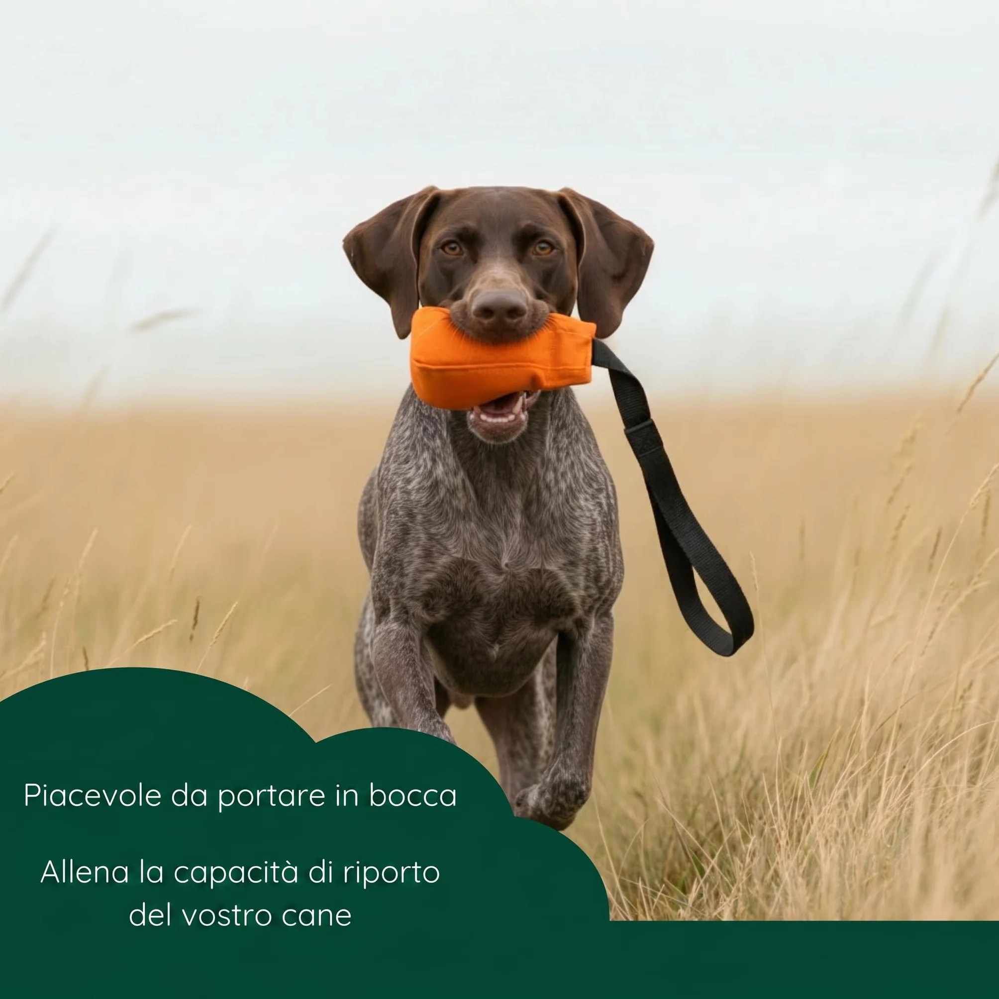 Romneys Dummy Ball SpeedUp! | 150 g | con nastro extra lungo (arancione)