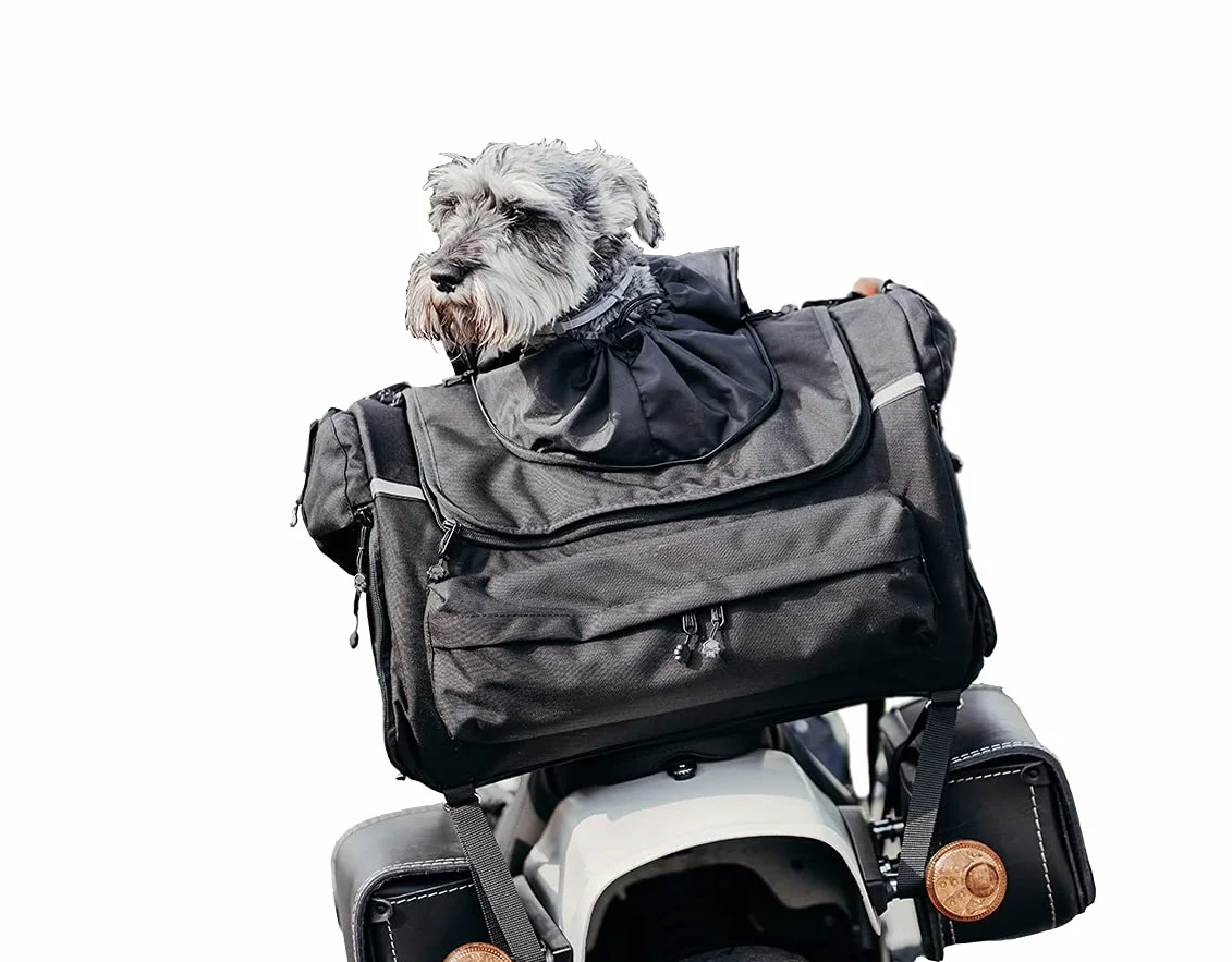 PETBAG, trasportino per cani da moto, impermeabile, portatile, sistema di ventilazione tripla per cani o gatti, per sissy bar, portapacchi o sedile. Realizzato in tessuto Cordura Italiano