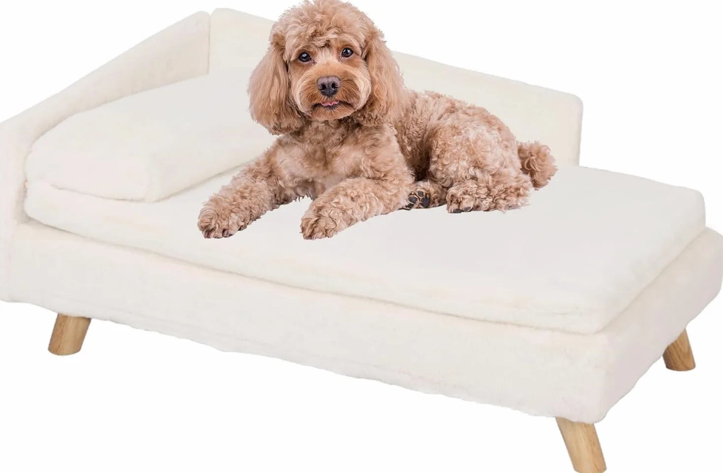 BingoPaw Divanetto per Cani e Gatti: Divano Letto Rialzato per Gatto Cani Inferiore a 25 kg Cuccia per Gatti da Interno con Cuscino Morbito Grande Cucce per Gatti da Interno, 80,5x48x23,5cm
