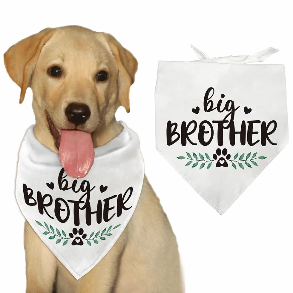 arricraft 1 bandana triangolare per animali domestici, in cotone, con scritta "Big Brother", lavabile, per cuccioli e gatti, bavaglini, accessori