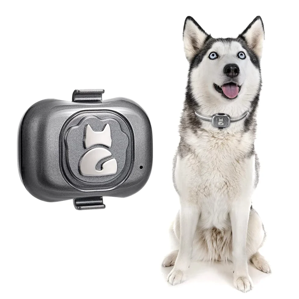 Localizzatore GPS 4G per localizzatore di cani Dispositivo anti-perso impermeabile Rilevatore di oggetti Smart Phone Piccolo allarme antifurto per animali domestici
