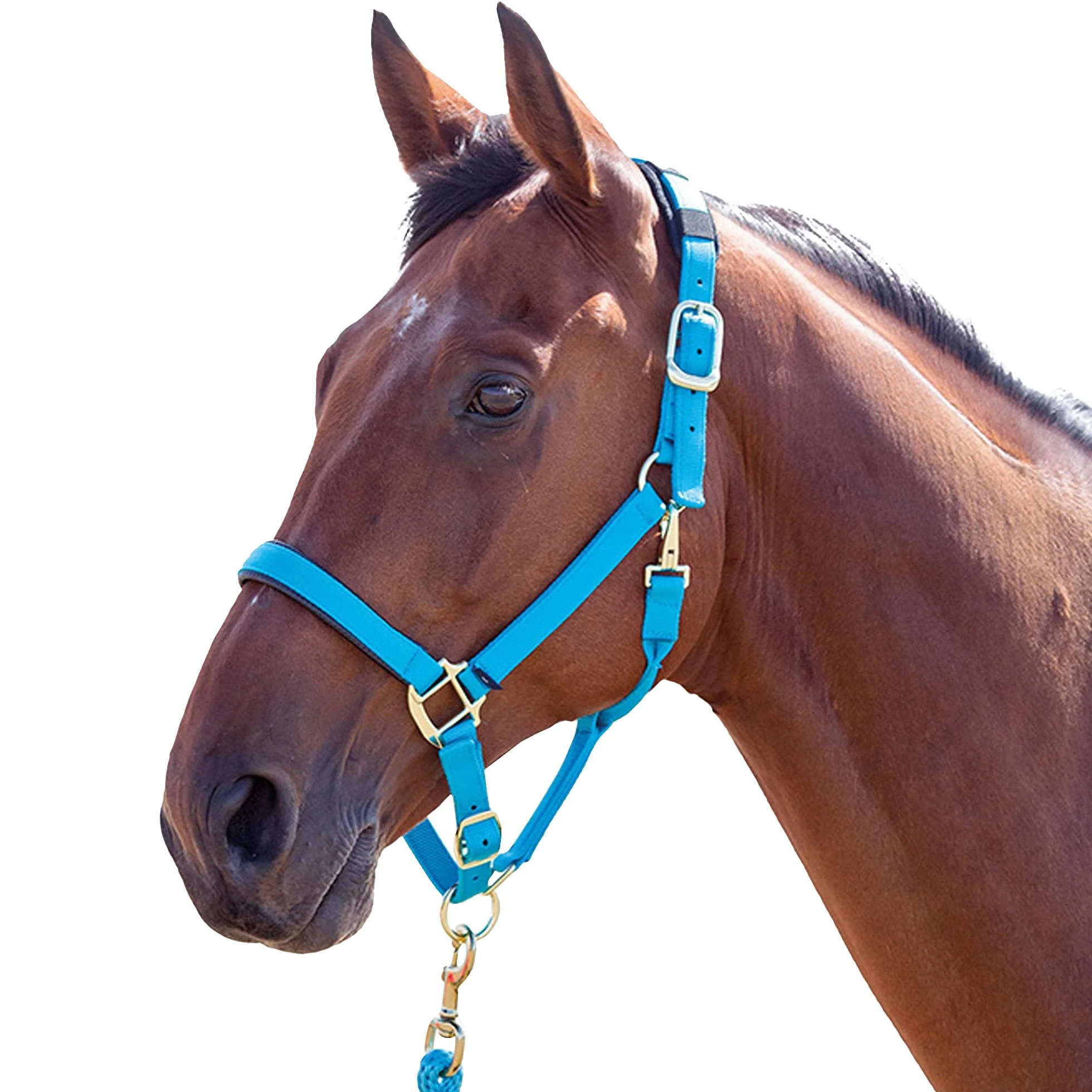 Shires, brigilia Topaz 387 in nylon, Blue, Cob