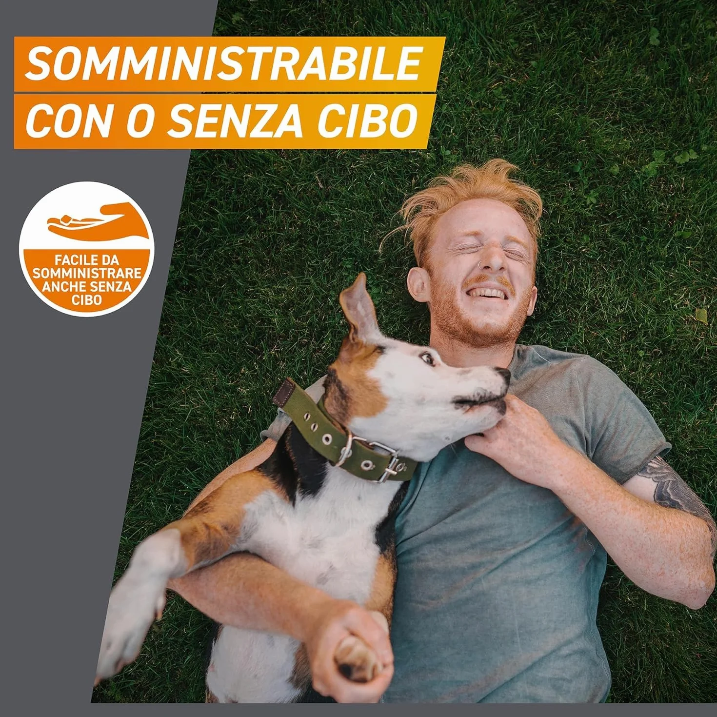 FRONTPRO 3 Compresse Masticabili Antiparassitario per Cani 10-25 kg Afoxolaner 68 mg Antipulci Zecche