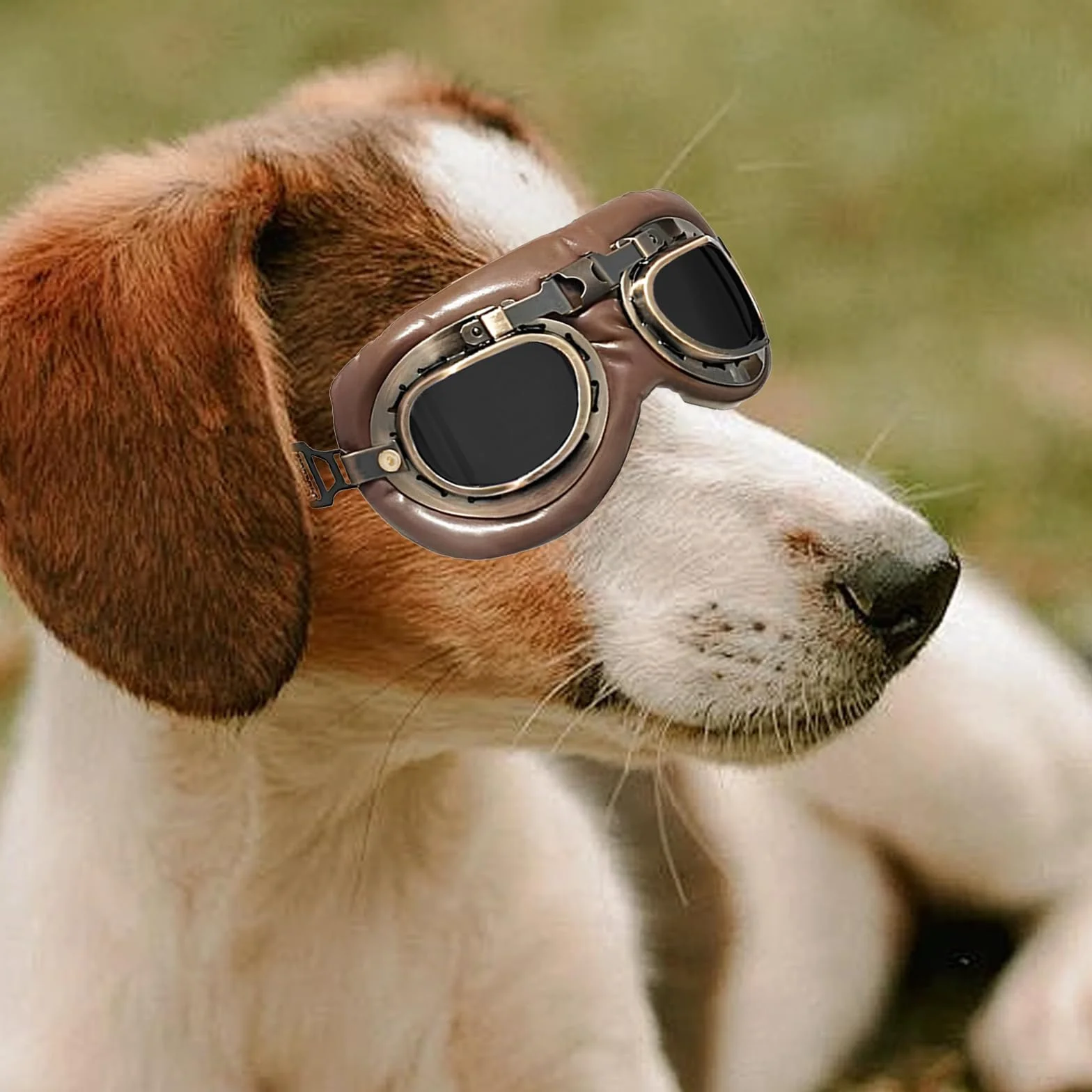 1 Pezzi Occhiali per Cani, Retrò Occhiali Cane, Protezione UV Occhiali da Sole Cane, Antivento Occhiali da Sole per Cani di Taglia Media o Grande Attività all'Aperto, Guida, Marrone