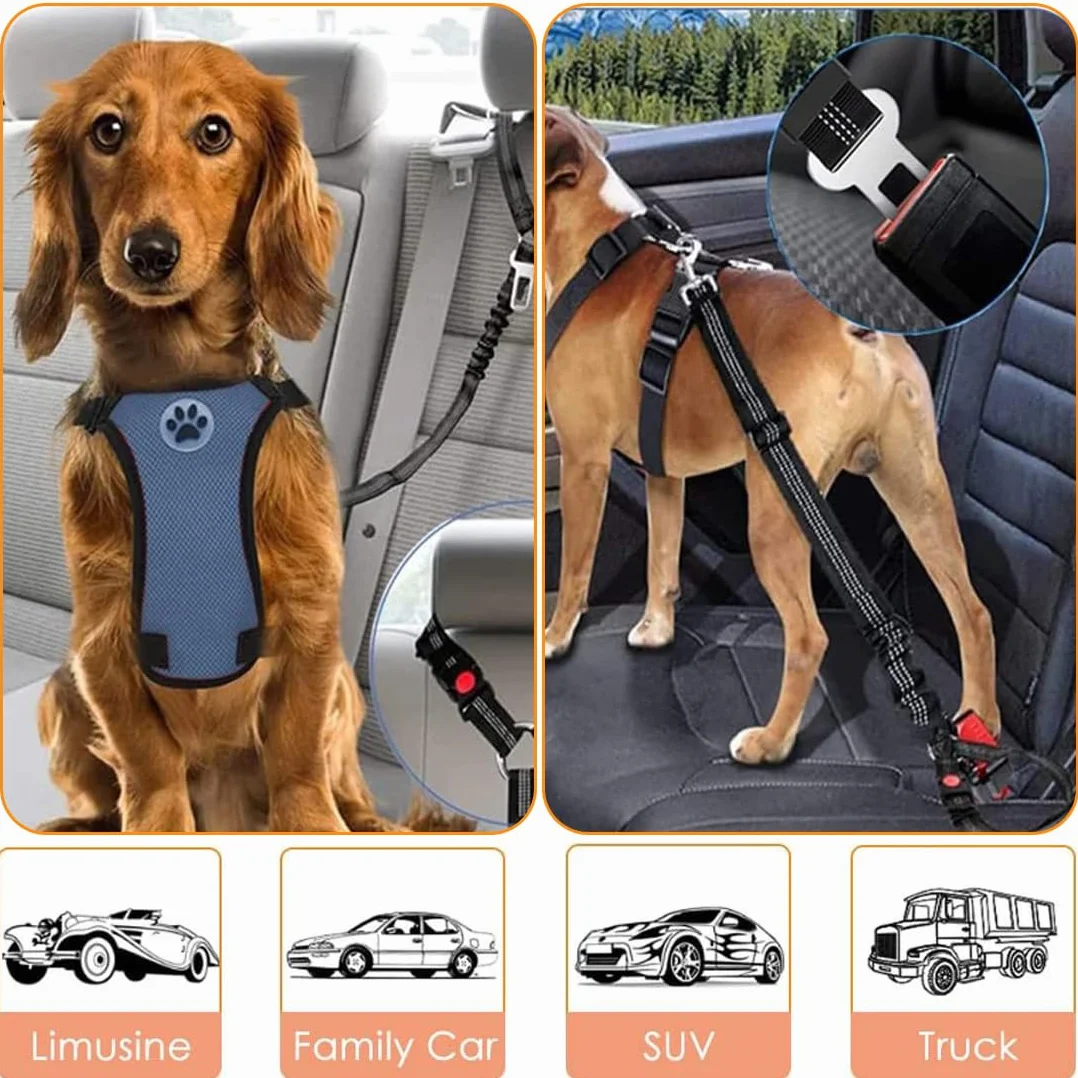 Cintura Sicurezza Cani Auto, 1 Unità Cintura Regolabile Con Poggiatesta, Colore Nero Per Viaggi Sicuri