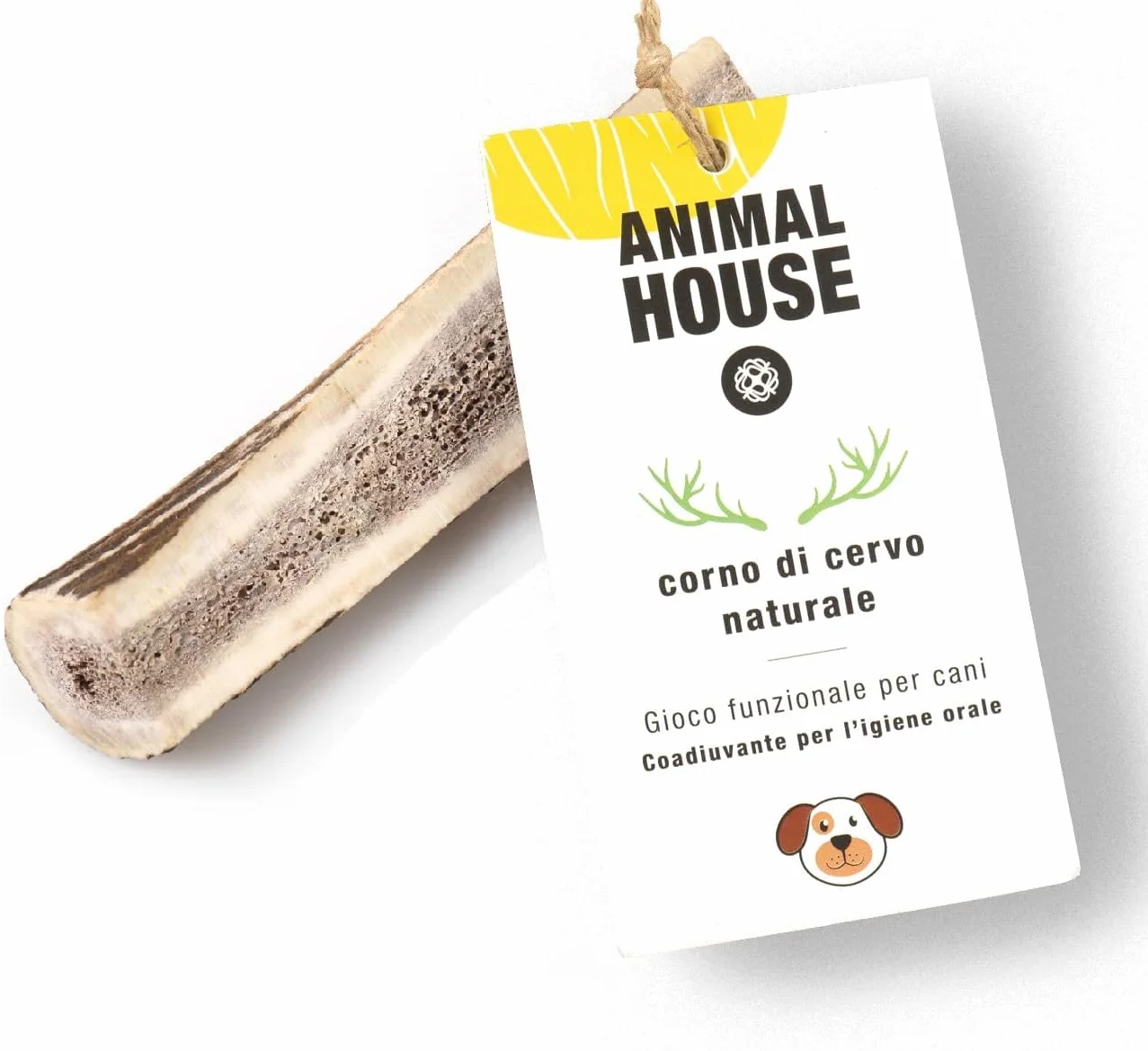 Animal House - Corna di Cervo Premium per Cani Sezionate - 100% Naturali e Resistenti - Migliora l'Igiene Orale - Adatte a Tutte le Taglie - Cruelty-Free (XS)