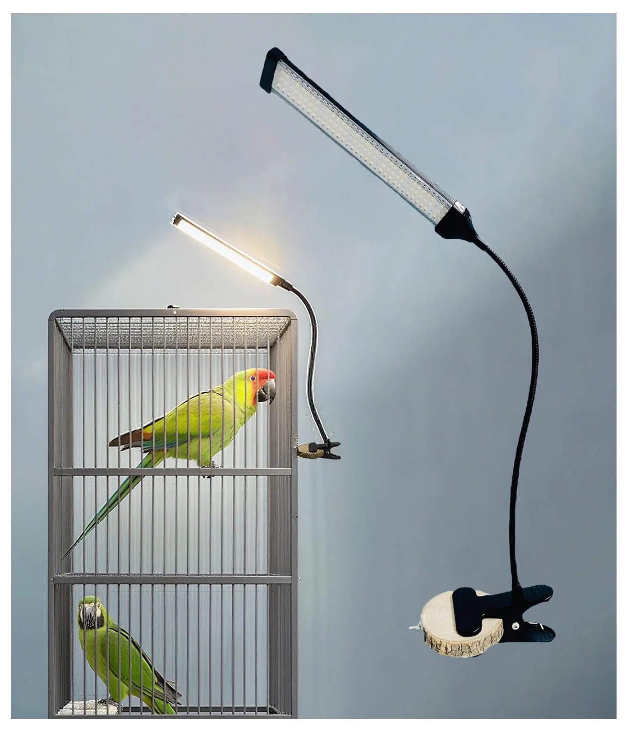 KINGYEENUO Luce a LED a spettro completo, dimmerabile e timer 3/9/12H, 105 perline LED per simulazione dell'ambiente naturale, sicuro per uccelli a gancio, kit di illuminazione combo
