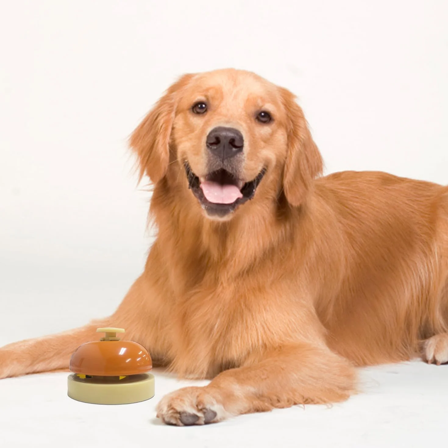 5 Pezzi Di Campane Che Prevedono A Mano, Campane Di Addestramento Per Animali Domestici, Campane Di Servizio, Campane Da Pranzo, Adatti A Ristoranti, Hotel, Bar E Cucine.