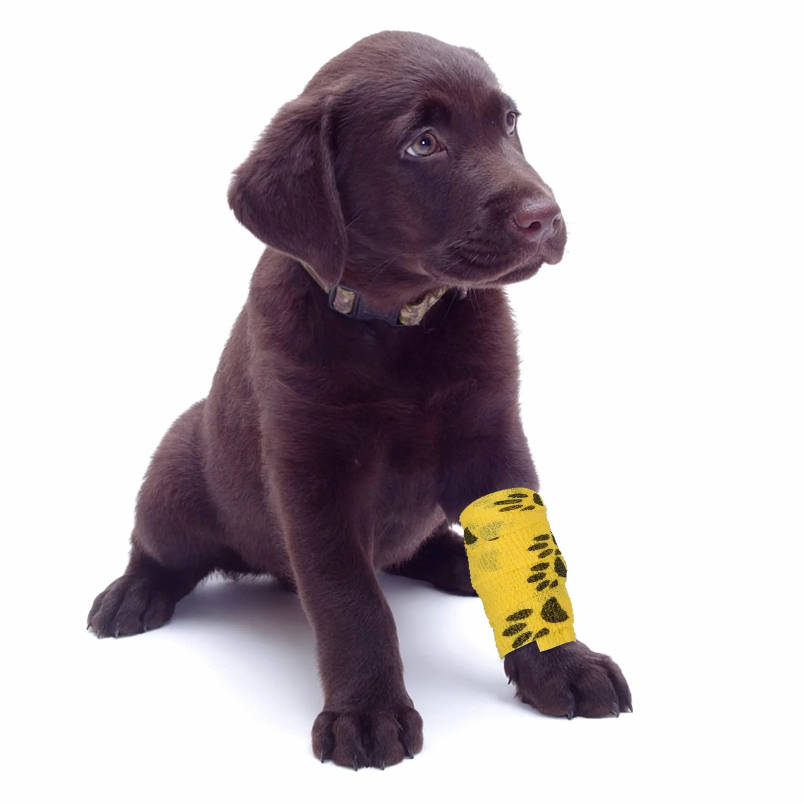 Pet Vet Wrap Bendaggio Coesivo Elastico Autoadesivo 5cm x 4.5m 9 Rotoli