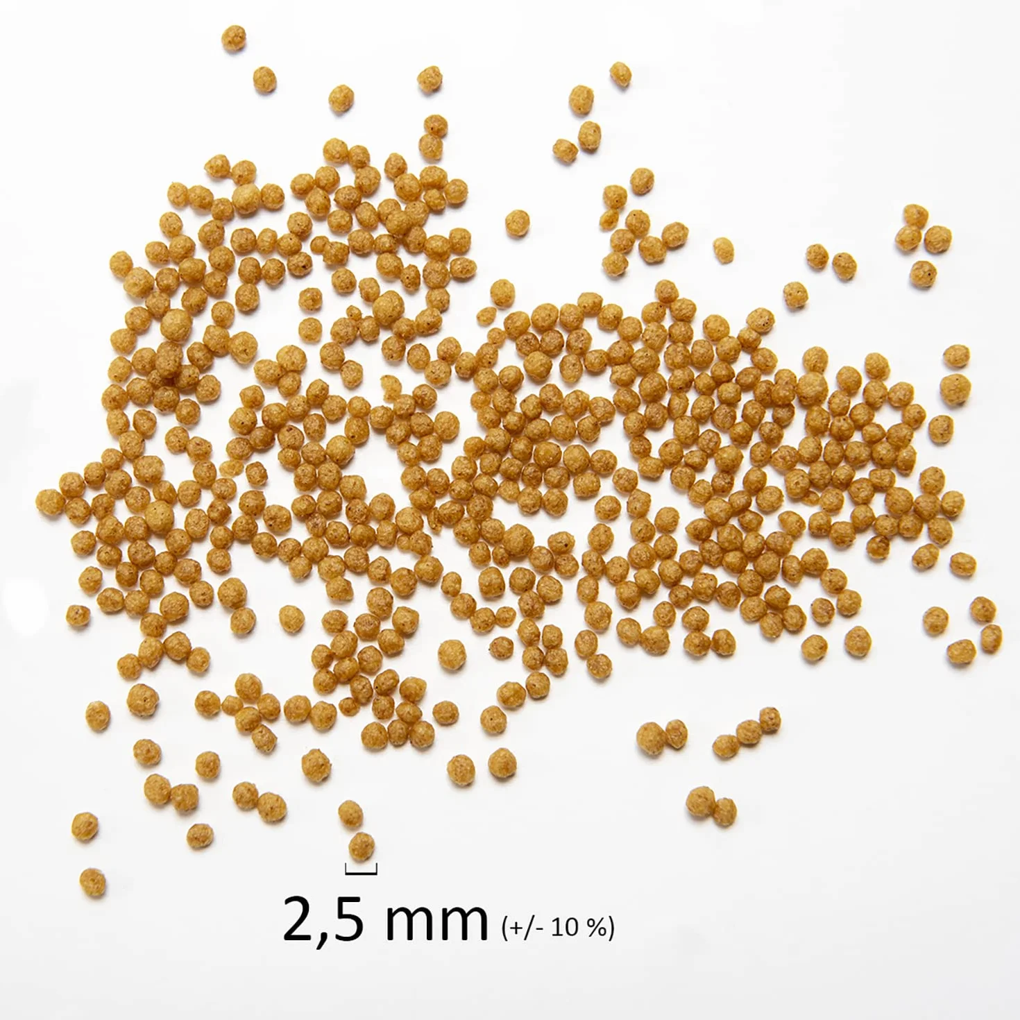 Psittacus Minor 450 g | Mangime completo per Agapornis, Forpus e Pyrrhura | Alimento premium per uccelli, 100% no-GMO