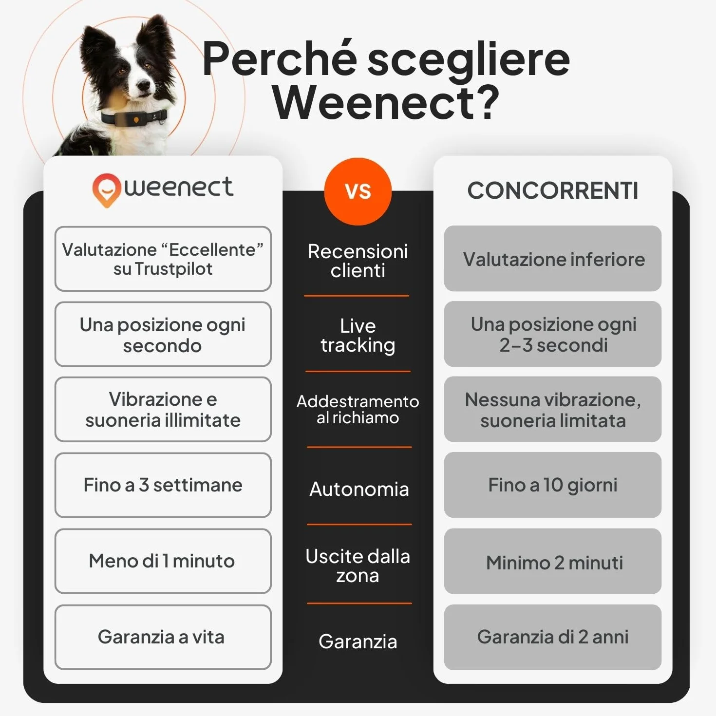 Weenect Cane XT - Localizzatore GPS per Cani Senza Collare | Impermeabile | Antenna XL | Portata Illimitata | Garanzia a Vita | Abbonamento Necessario