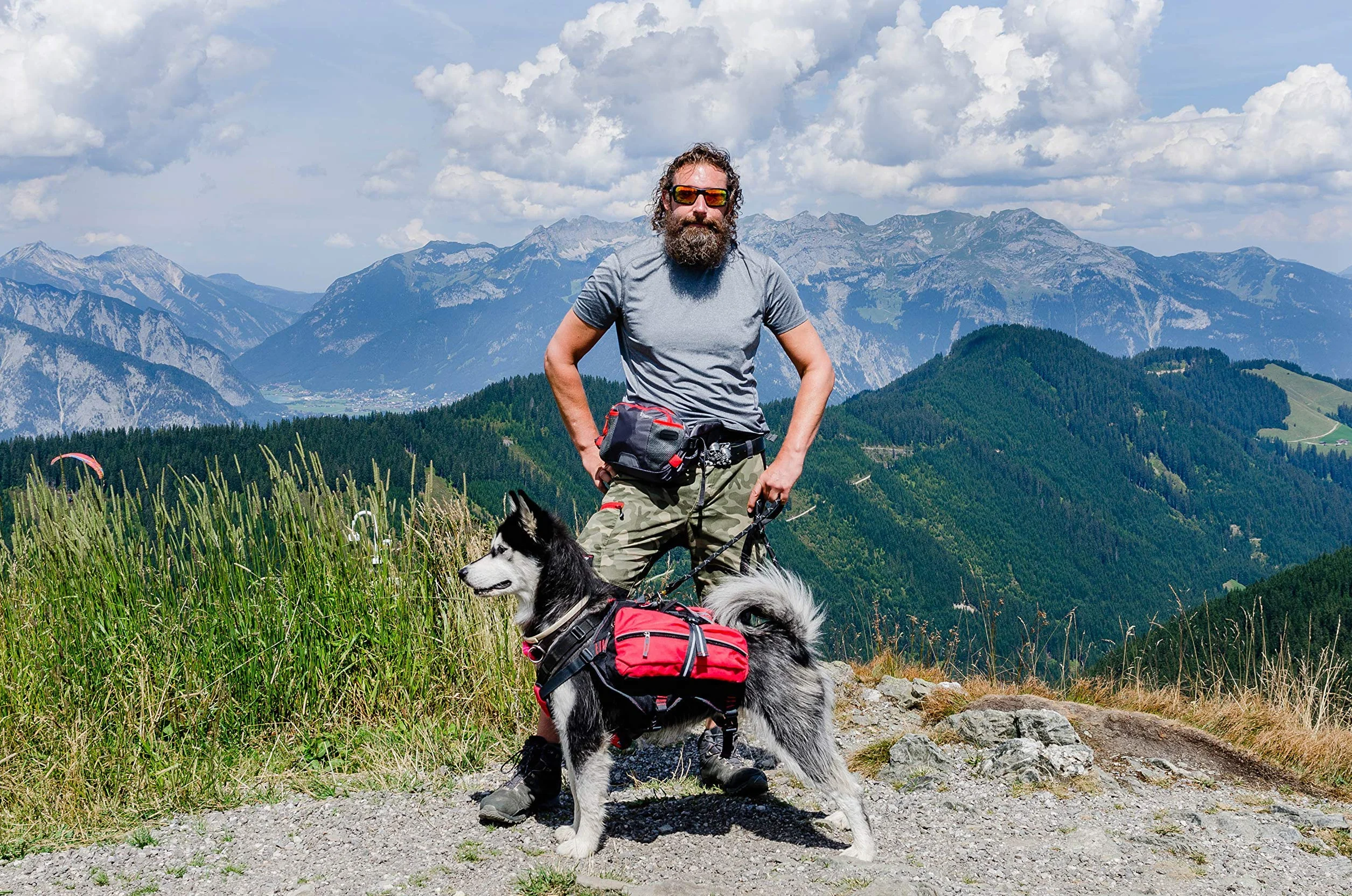 iEnergy Zaino per cani MAL - Zaino per cani - Zaino resistente alle intemperie per cani - Zaino da trekking ben imbottito, Rosso, Grande