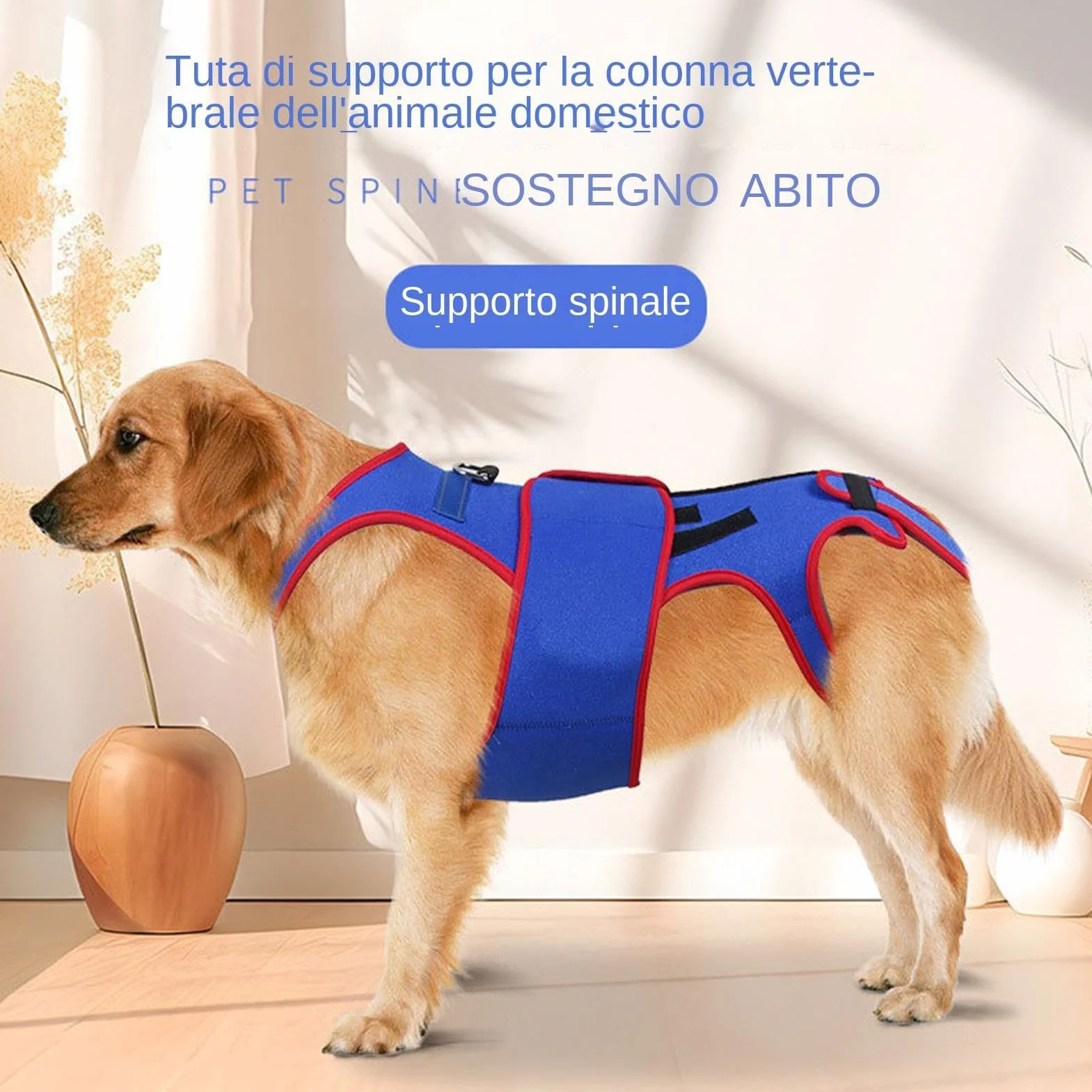 Tutore Per La Schiena Per Cani Anello A D Strisce Riflettenti Supporto Morbido