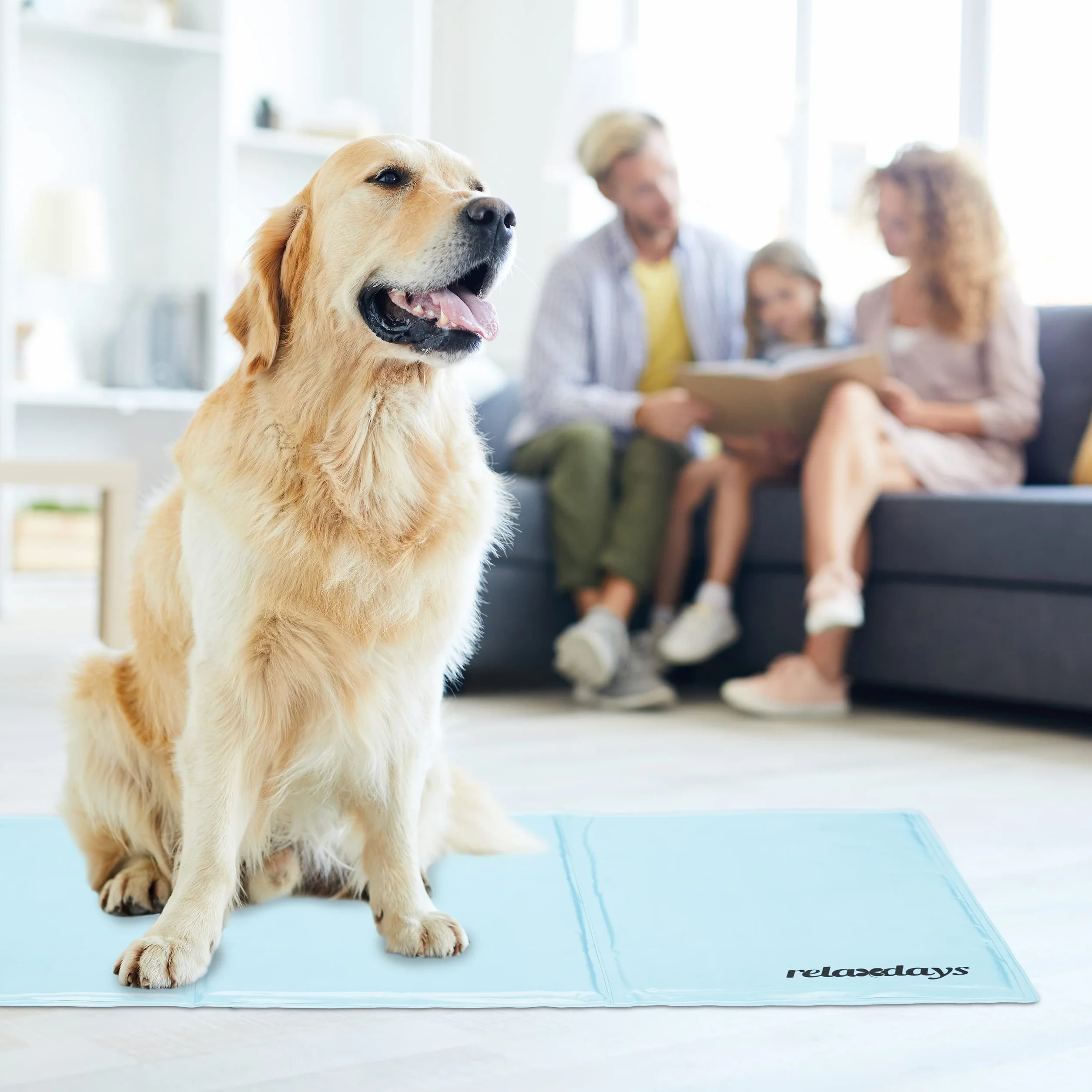 Relaxdays Tappetino Refrigerante per Cani 60 x 100 cm Gel Azzurro