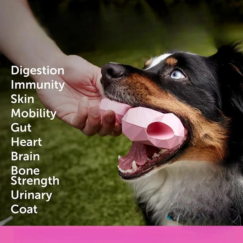 Multivitaminico per cani con difese immunitarie e cura dei capelli | Capacità di attività di supporto, salute dell'apparato digerente, sistema immunitario e cura dei capelli