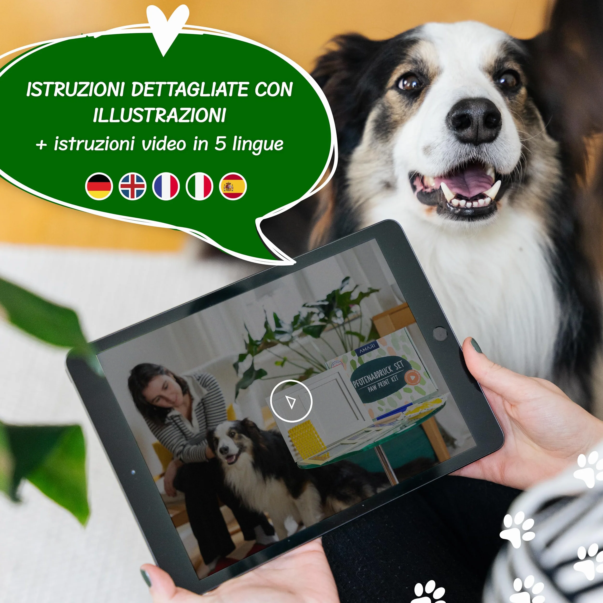 Amari Mari Set di Impronte di Zampe per Animali con Lettere, Numeri e Cornici per Cani
