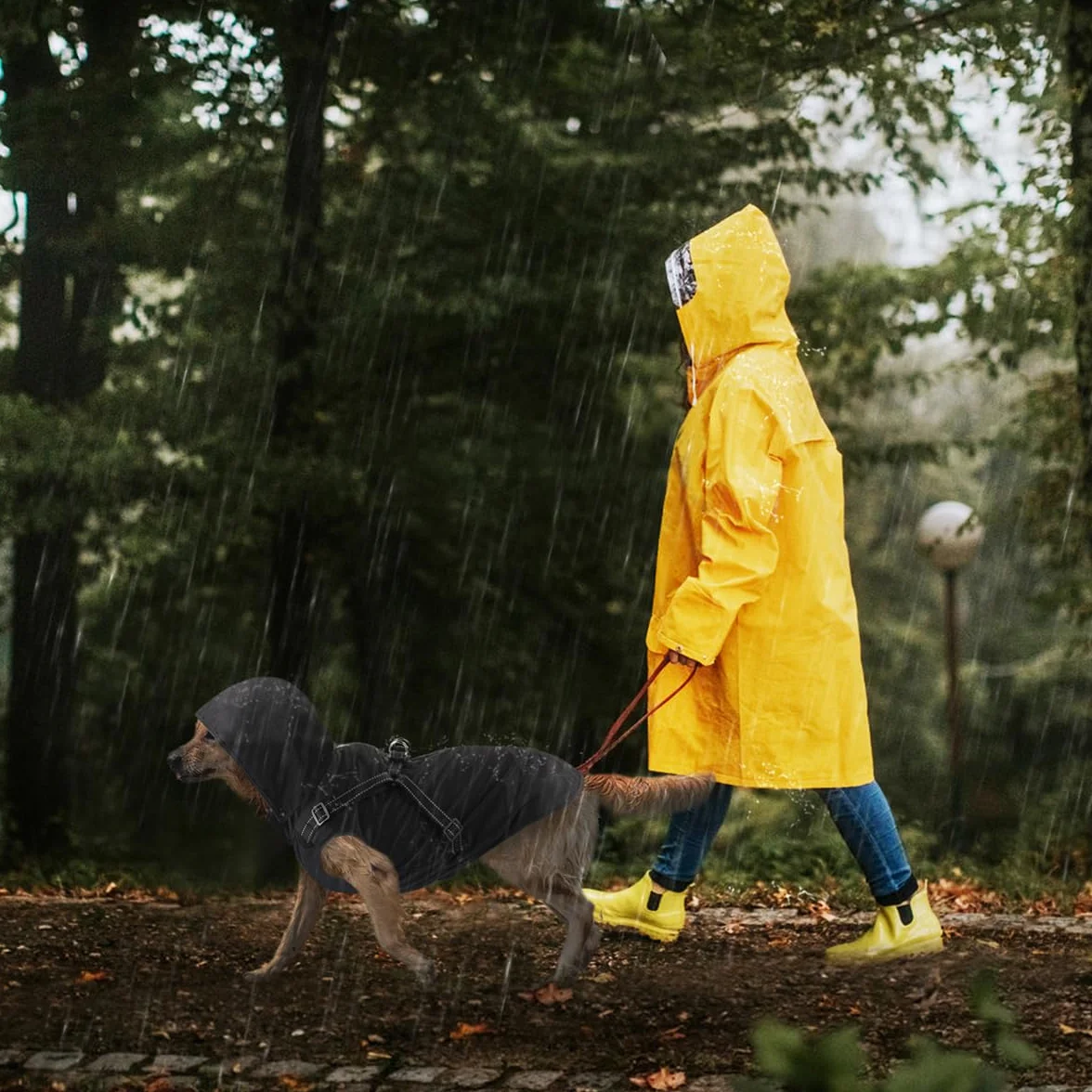 Impermeabile per cani con cappuccio taglia piccola media grande