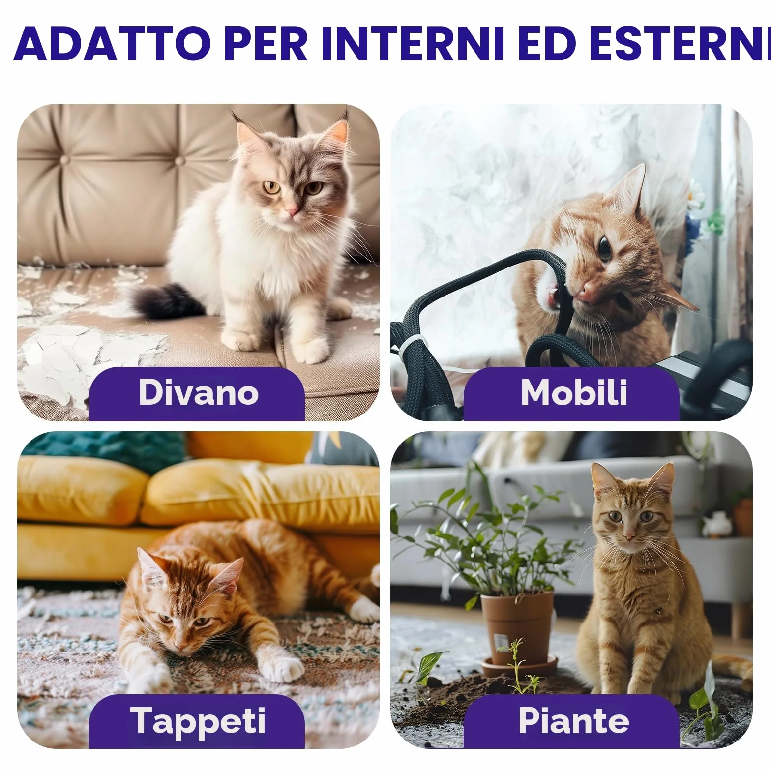 WEALLIN Spray Repellente per Gatti, 200ml Repellente Gatti e Spray AntiGraffio per Gatti Divano, Uso Interno ed Esterno, Protezione del Divano e Mobili, Ideale per Casa e Giardino
