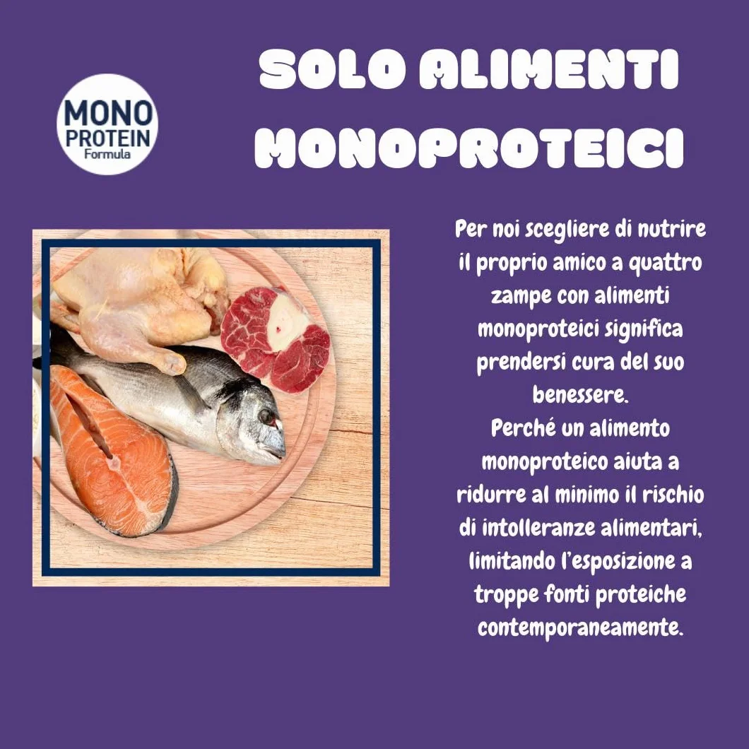 Exclusion Umido Cane Monoprotein Adult All Breeds Pollo, alimento completo per cani adulti di tutte le taglie, monoproteico, gusto POLLO | 6 scatolette da 400 grammi l'una.