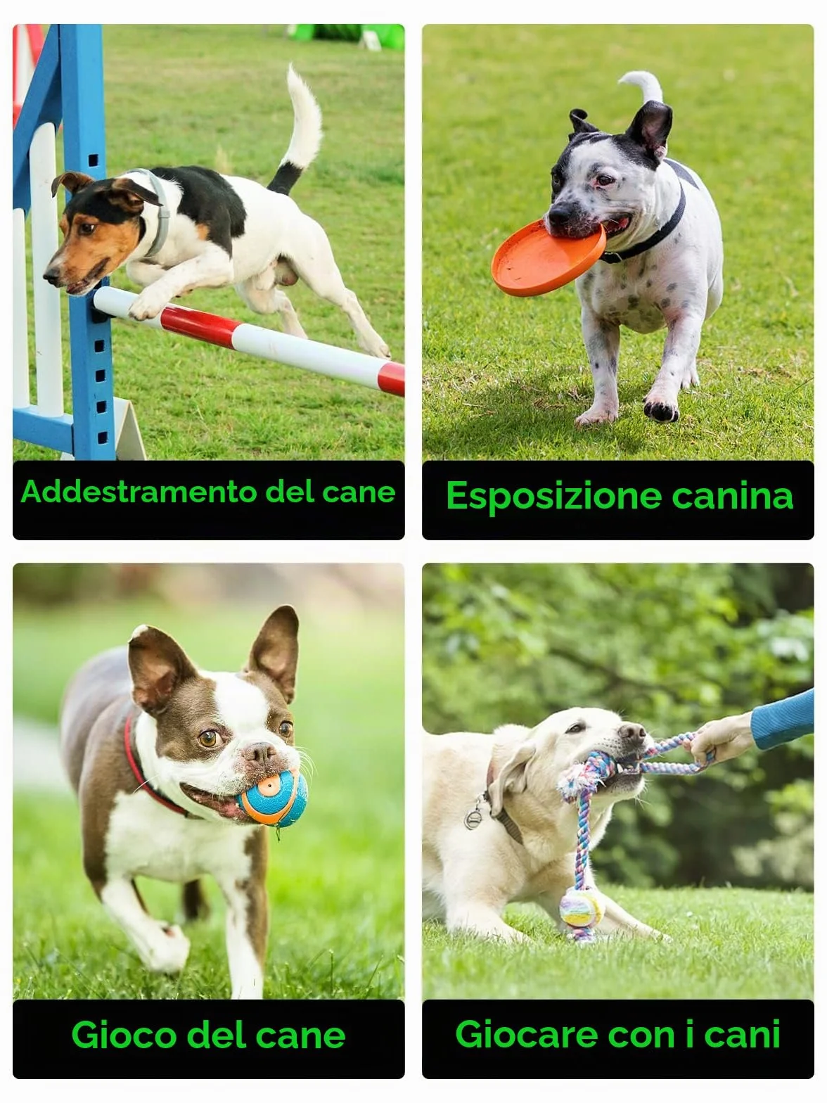 Realure Borsa Addestramento Cane, Porta Snack Cane con Clip di Fissaggio, Sacchetto Addestramento Cane, Porta Crocchette per Cani Addestramento, Porta Premi per Cani, Adatto all'Uso Esterno (Nero)