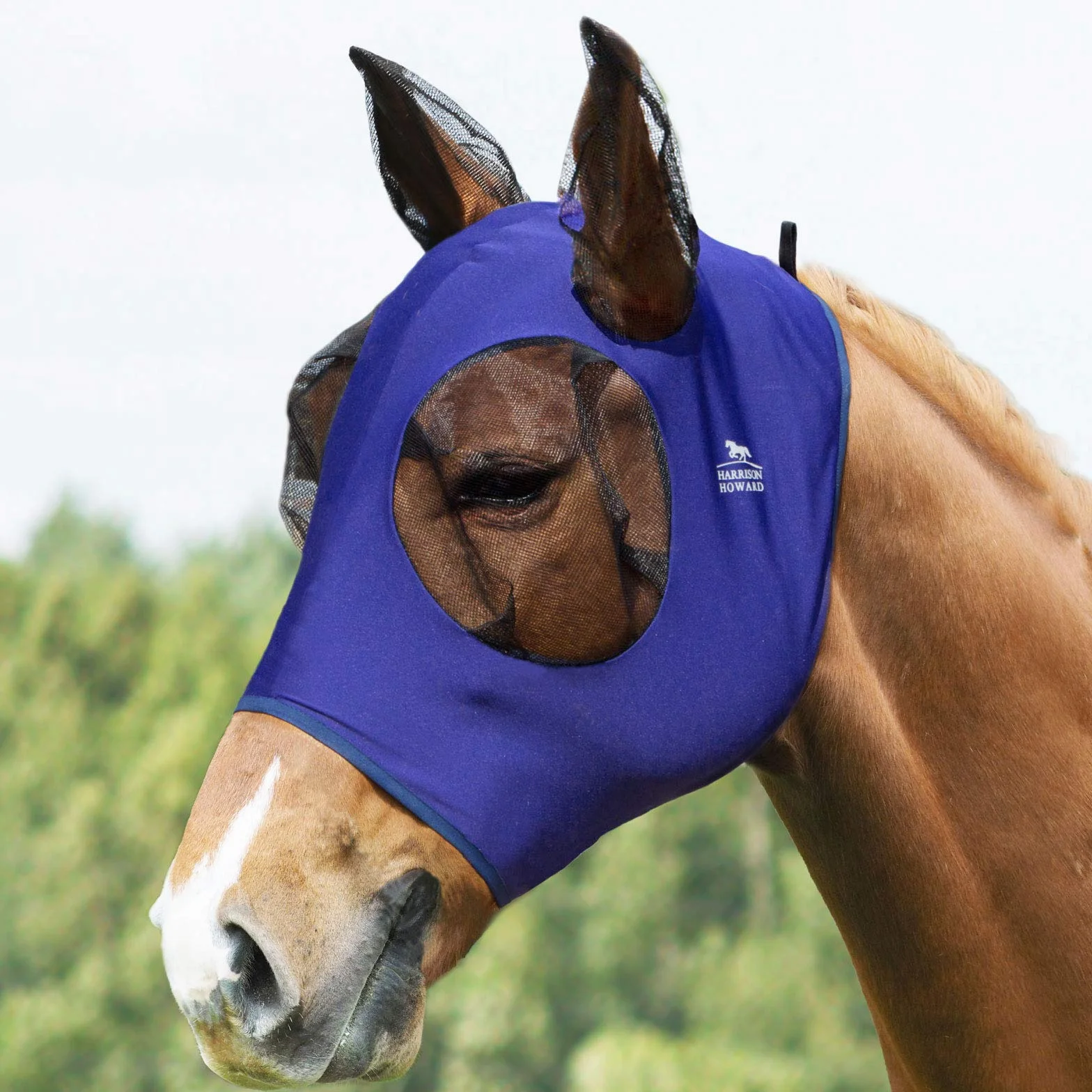 Harrison Howard Stretch Horse Fly Mask Rete morbida blu navy