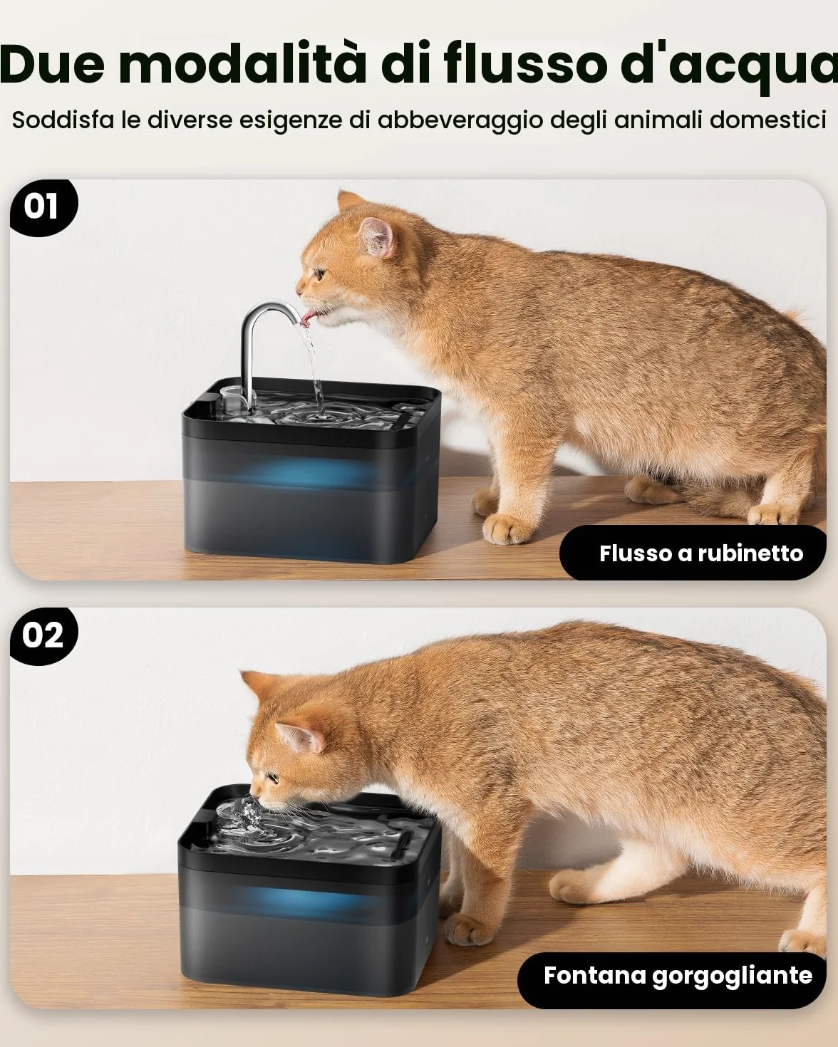 PawPoll Fontanella per Gatti, 2,2L Fontana per Gatti, Ultra Silenzioso, Facile da Pulire, Fontanella Gatto con LED e Filtro a Carbone Attivo, Adatto a Più Animali Domestici