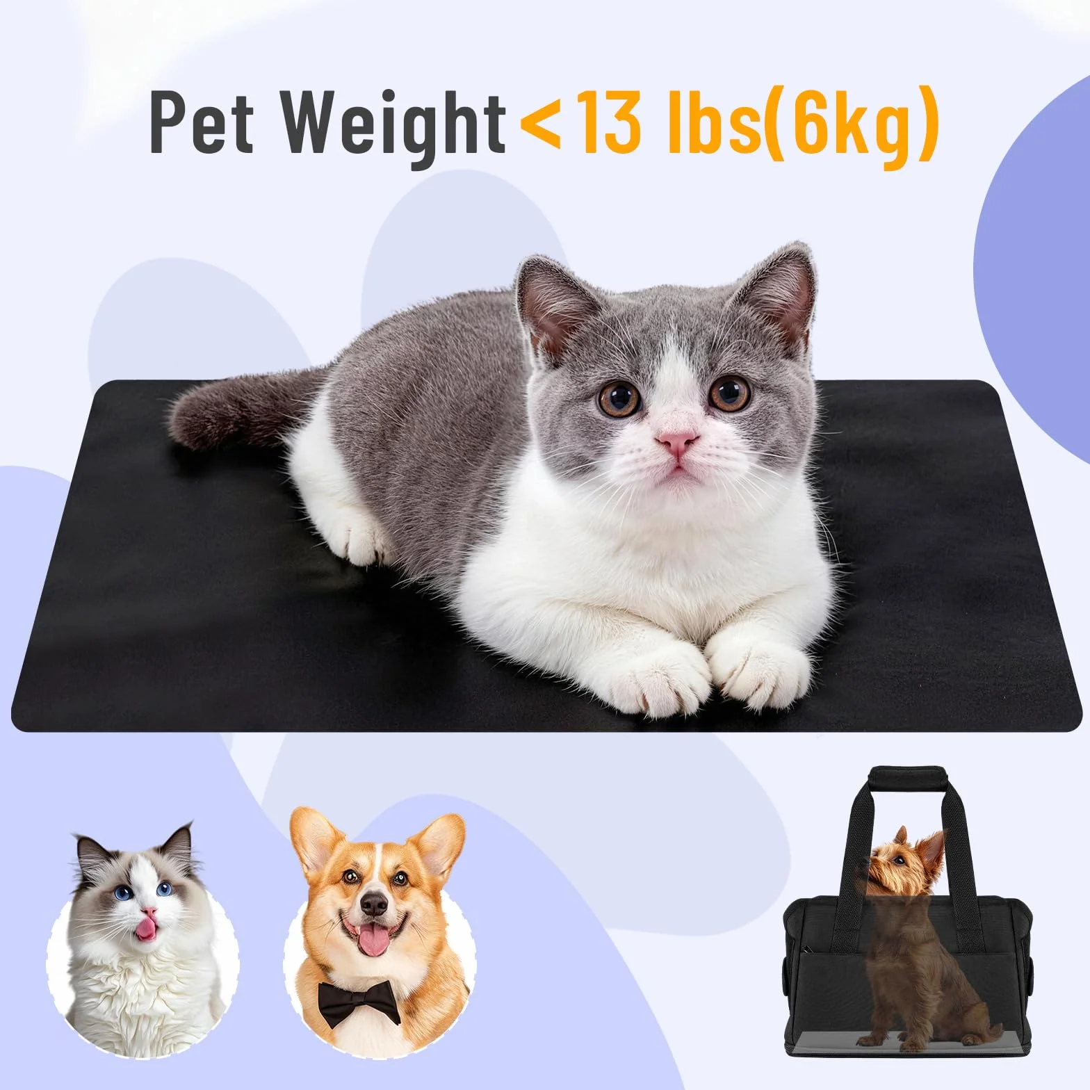 Borsa Trasportino Cane Gatti Regolabile Viaggio per Cani Piccola Taglia 6KG Impermeabile 40x26x20cm Beige