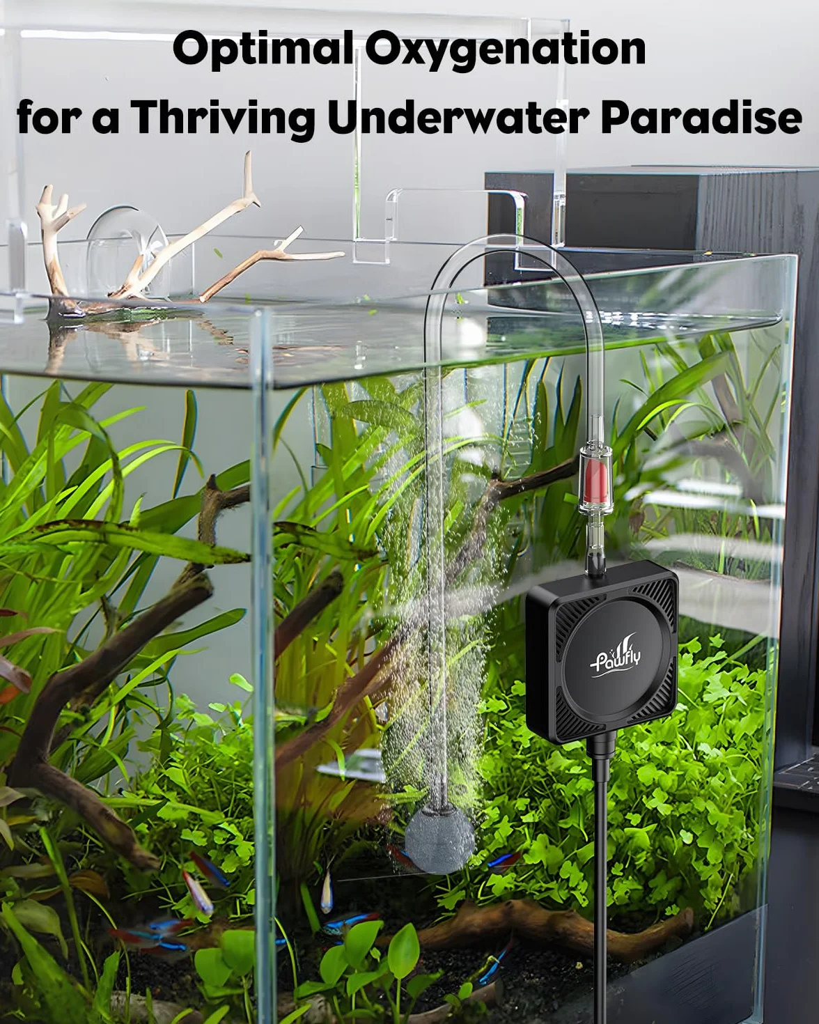 Pawfly Pompa Aria Acquario 450 mL/min 1.3 W, Ultra Silenziosa Mini Bollitore per Vasche fino a 60 L, Ossigenatore Portatile con Tubo, Pietra Porosa, Valvola di Non Ritorno