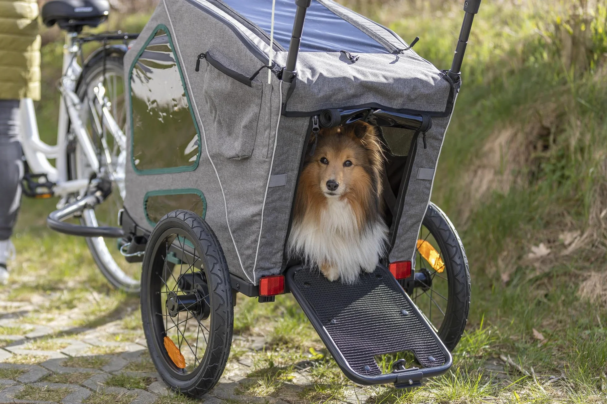 TRIXIE "Rimorchio per Bicicletta, L: 80 × 103 × 98/147 cm, Grigio/Salvia fino a 45 kg - 12804