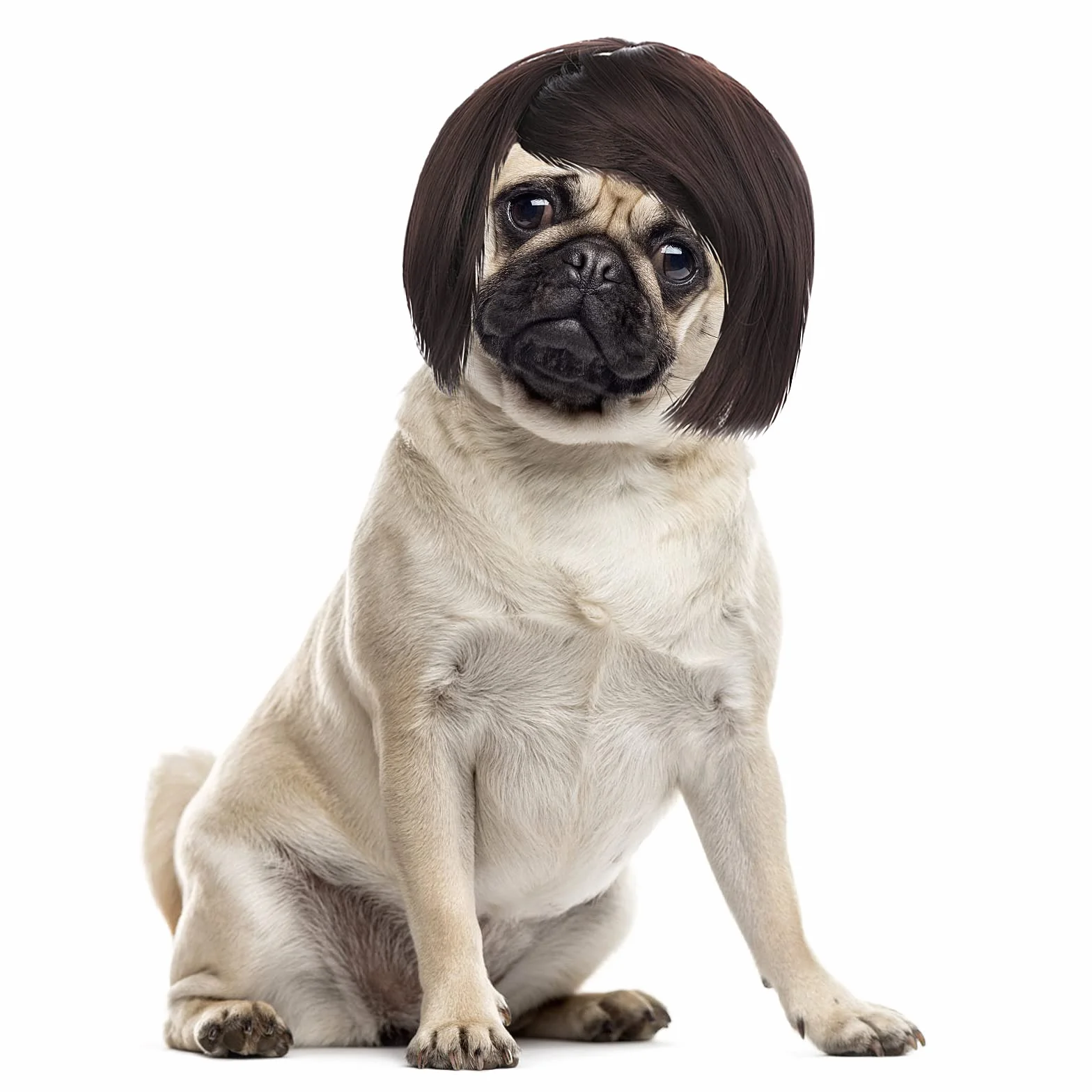 Cobee Parrucca divertente per cani cosplay parrucca per animali domestici costume regolabile copricapo divertente,copricapo per cani di piccola taglia media e parrucche per Halloween decorazioni