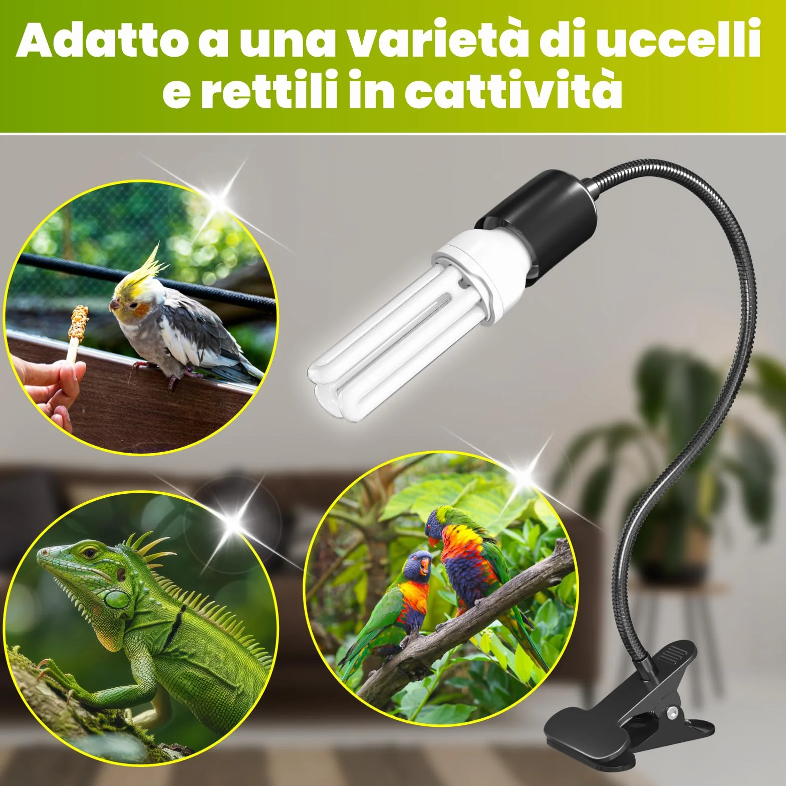 Lampada per uccelli UVB 2.4 E27 20W a morsetto GlowUp set completo